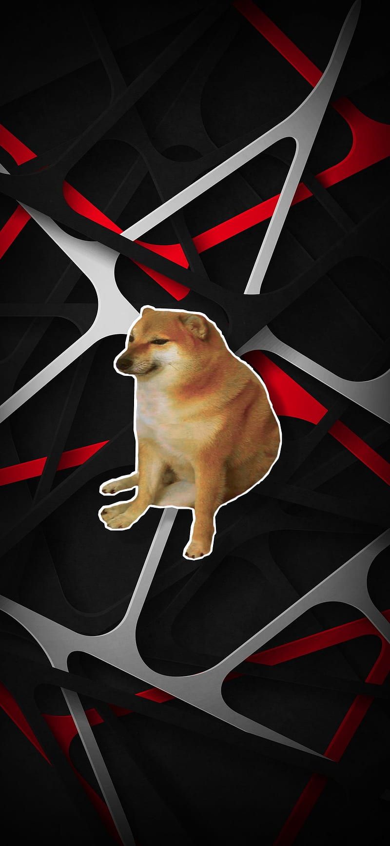 800x1733 Cheems, meme, doge, dog, funny, HD phone wallpaper