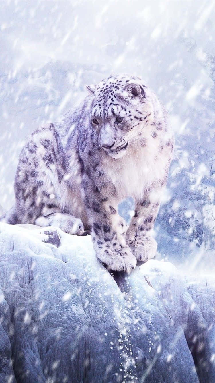 750x1334 Snow Leopard Wallpaper