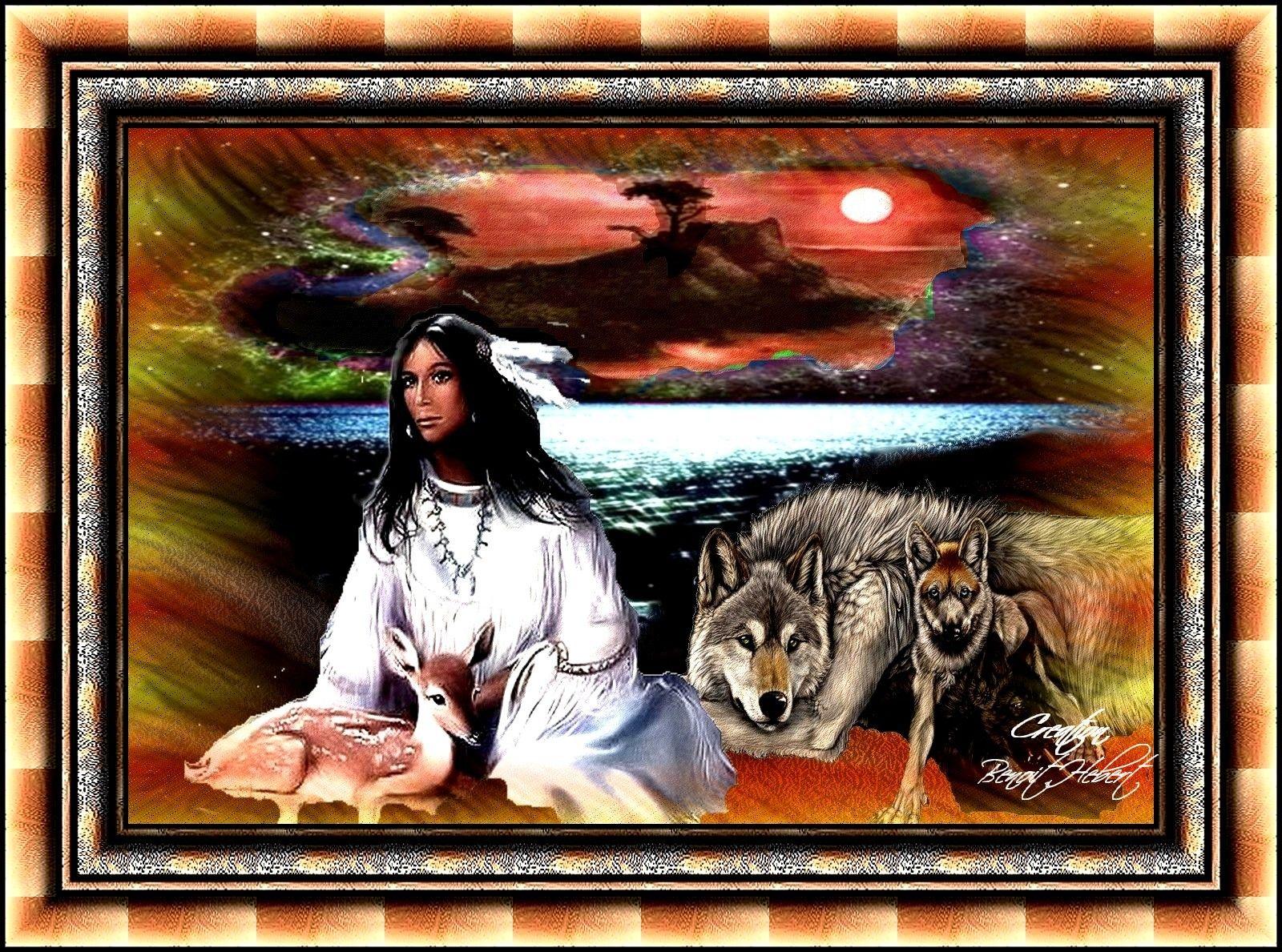 1600x1189 Forests: BEAUTIFUL INDIAN Frame Wolf Wallpaper For Desktop for HD 16