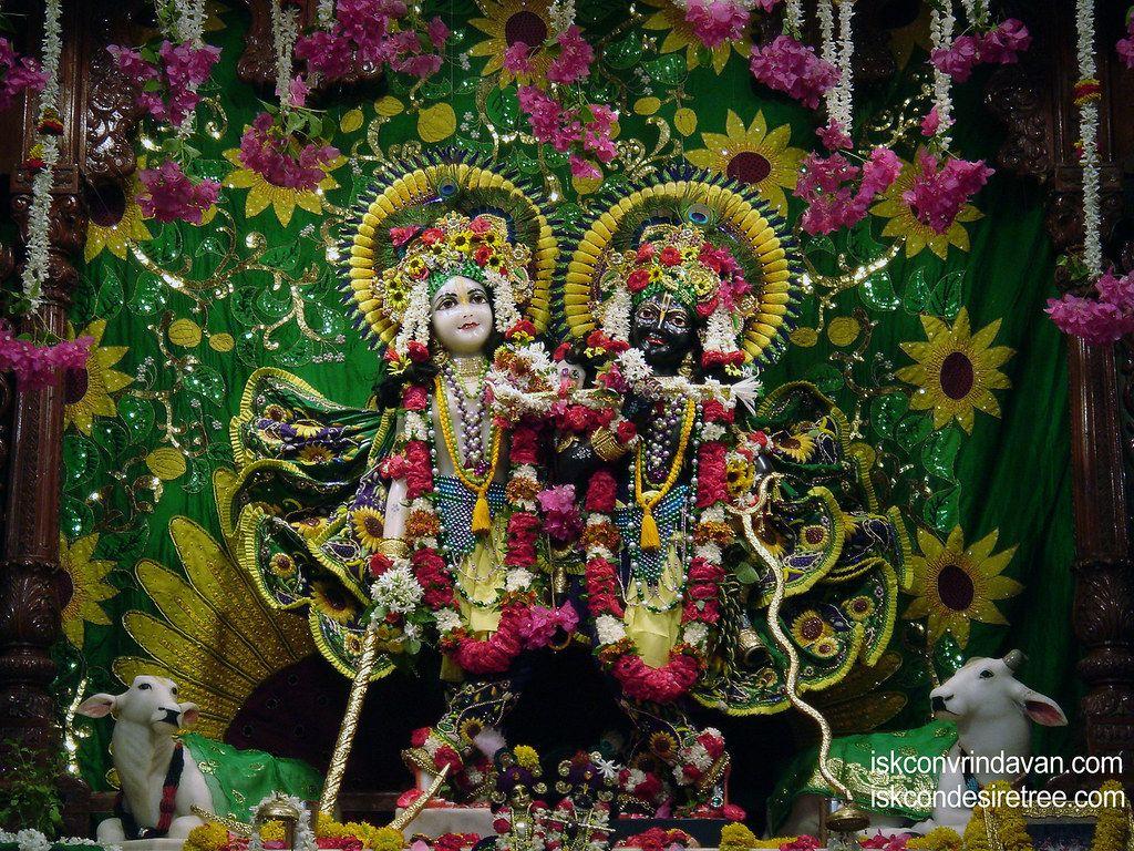 1024x768 Sri Sri Krishna Balaram Wallpaper (054). View above wallpap