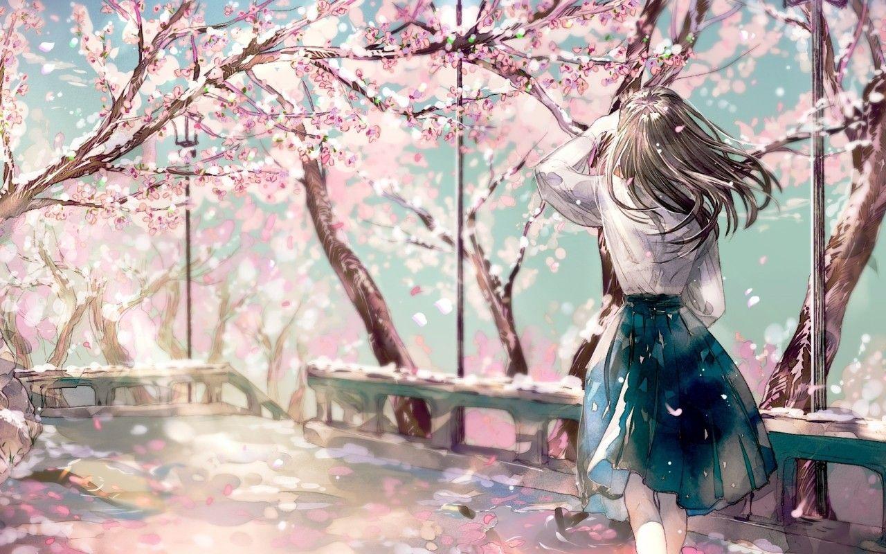 1280x800 Cherry Blossom, Sakura, Anime Girl, Back View Anime Cherry Blossom Tree Wallpaper & Background Download