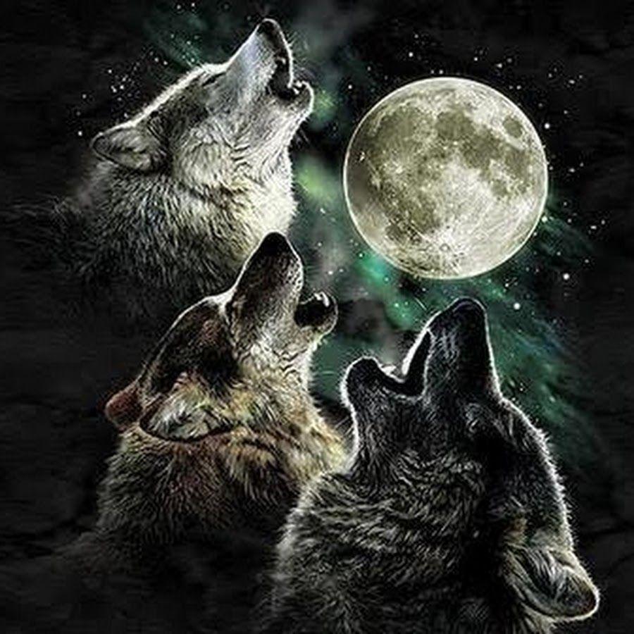 900x900 HowlingMoonCinemas