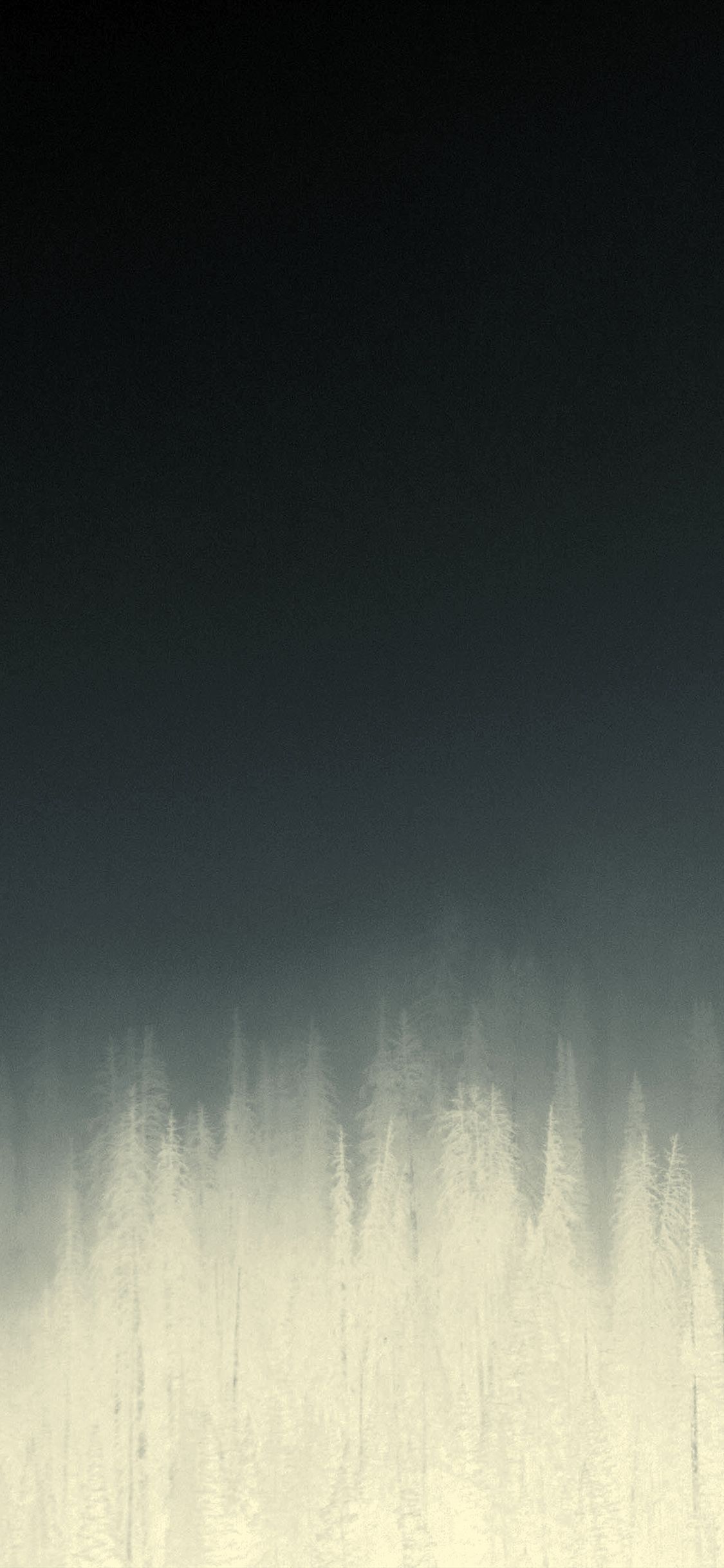 1125x2436 iPhone X wallpaper. fog minimal mountain wood nature blue dark