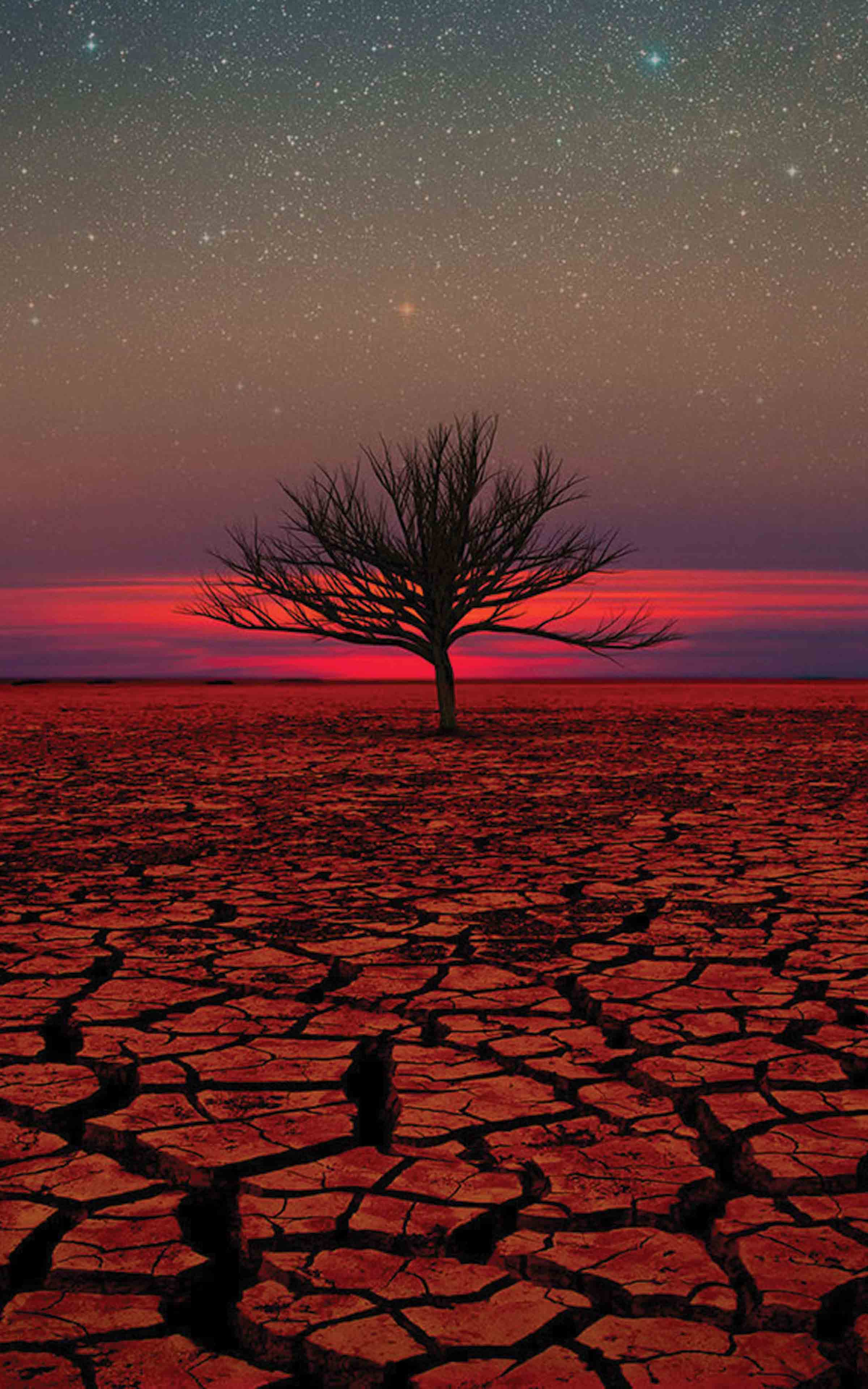 Kindle Fire Wallpapers - Top Free Kindle Fire Backgrounds - WallpaperAccess