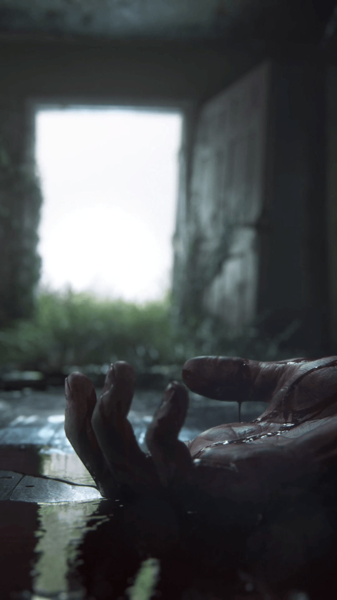 1080x1920 The Last Of Us iPhone Wallpaper