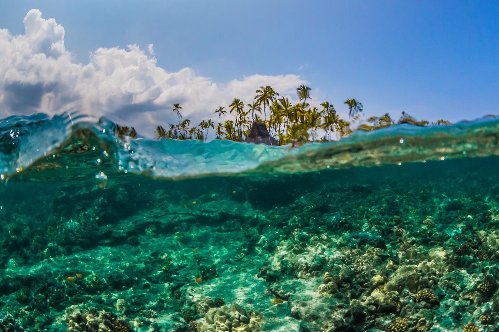 1600x1067 Free download island hawaii 150463 High Quality and Resolution