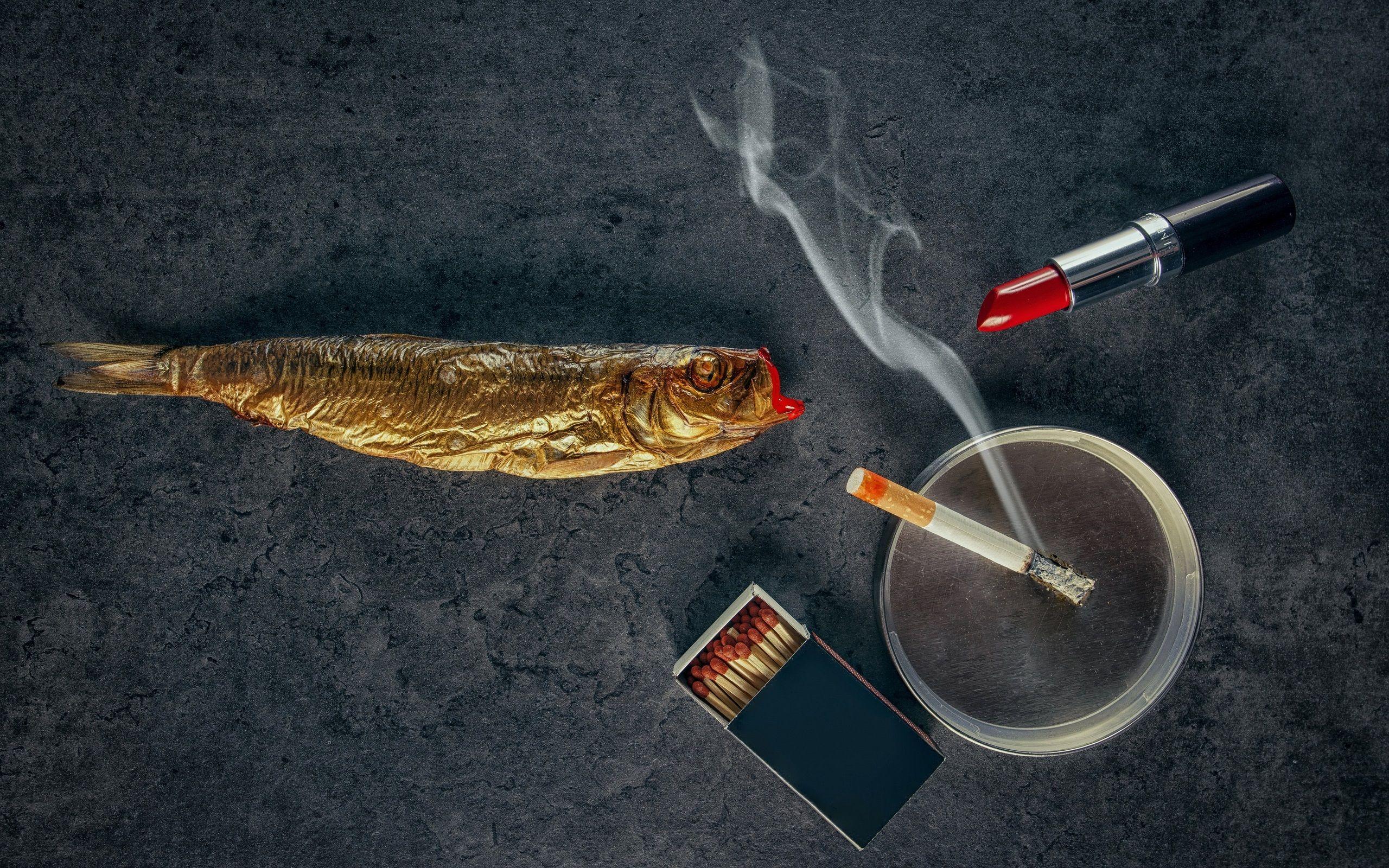 2560x1600 Lipstick, Fish, Cigarette, Smoke 750x1334 IPhone 8 7 6 6S