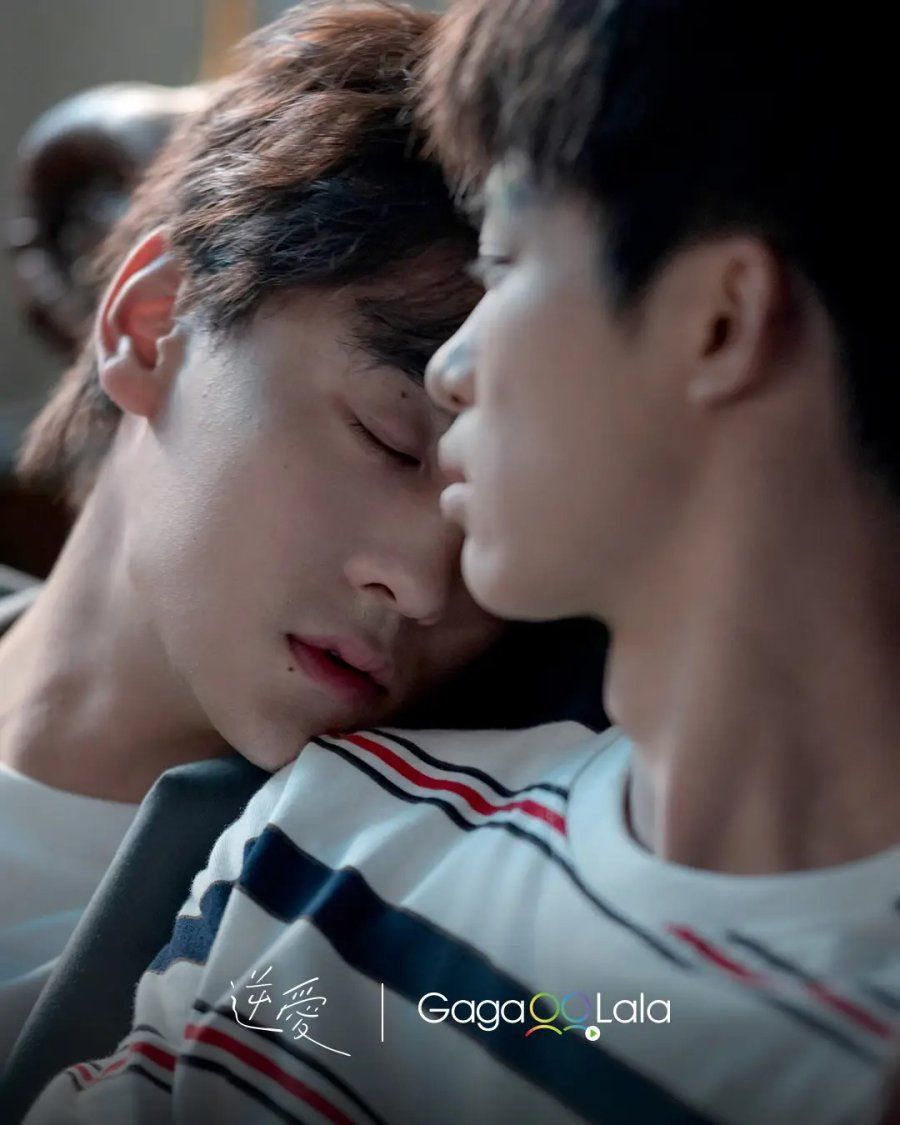 900x1125 Revenged Love Wallpaper