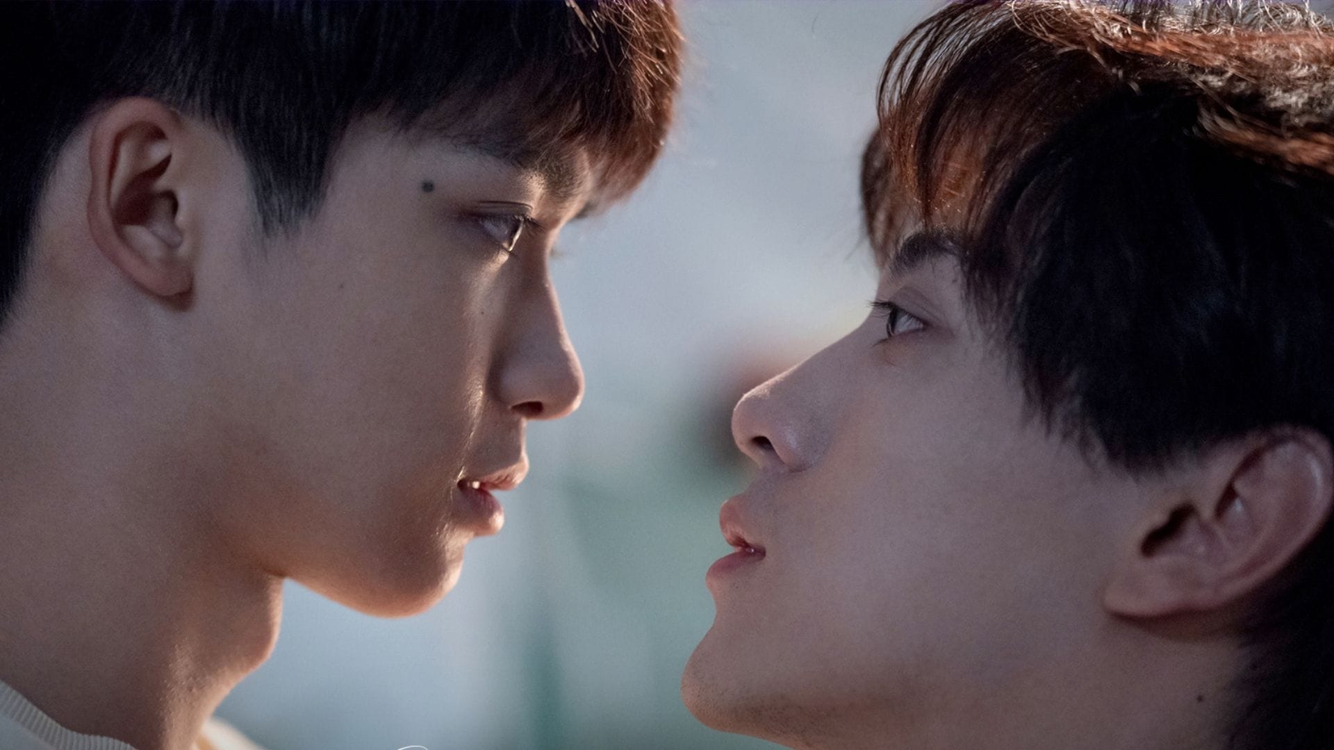 1920x1080 Revenged Love: When will episode 24 (finale) release, and what to expect