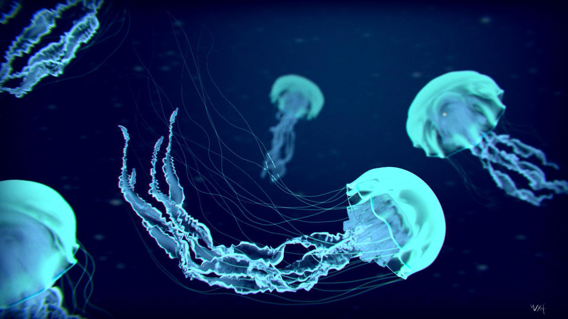 1920x1080 Jellyfish Wallpaper. Princess Jellyfish