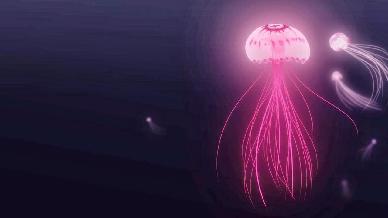 1280x720 HD Jellyfish Wallpaper