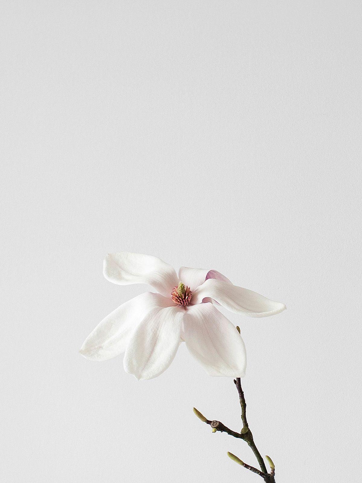 1200x1601 Agata Komborska. Minimalist photography, iPhone wallpaper