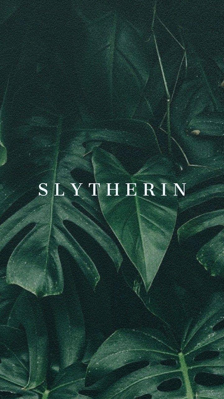 Màn hình khóa 720x1280 Slytherin - Hogwarts - thẩm mỹ.  Hogwarts thẩm mỹ