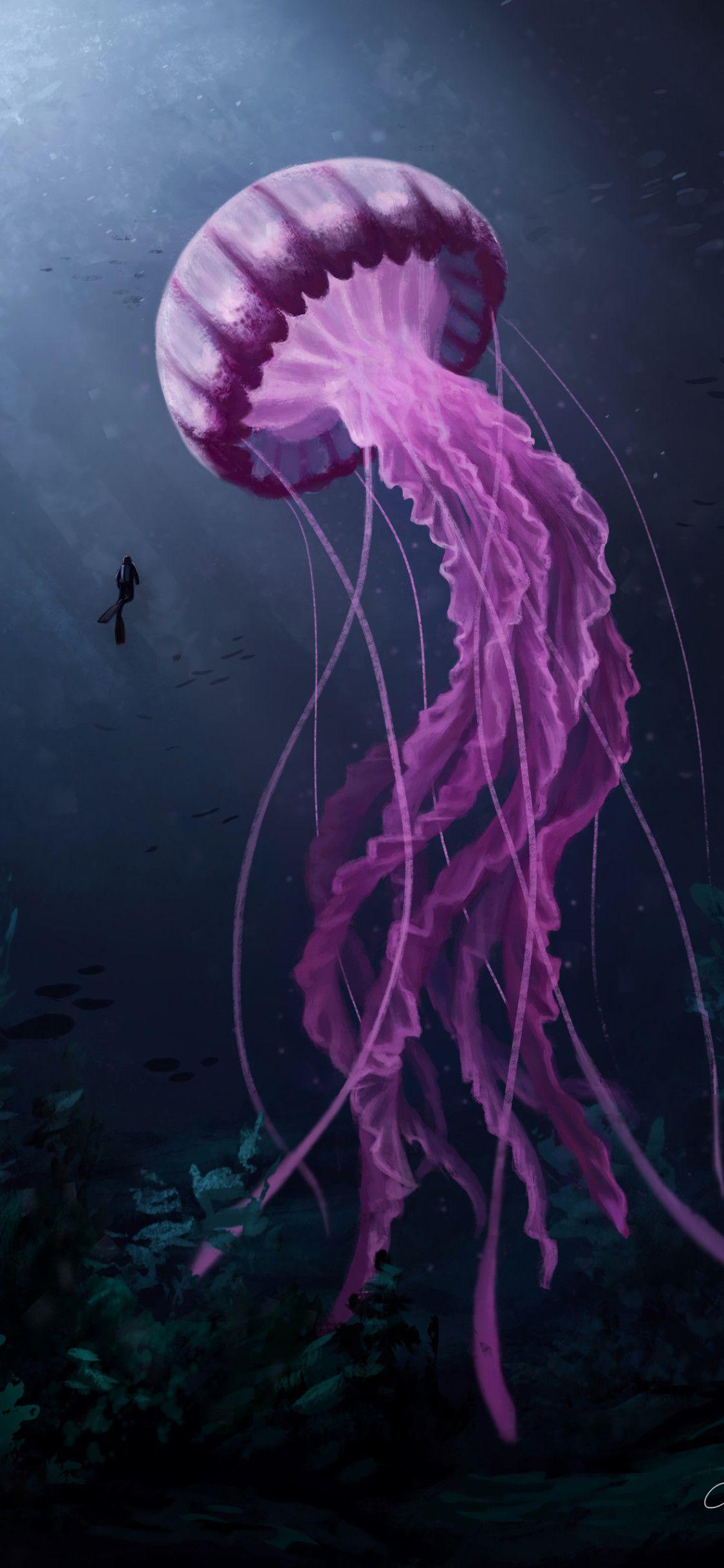 1125x2436 Jellyfish Digital 4k iPhone XS, iPhone iPhone X HD 4k