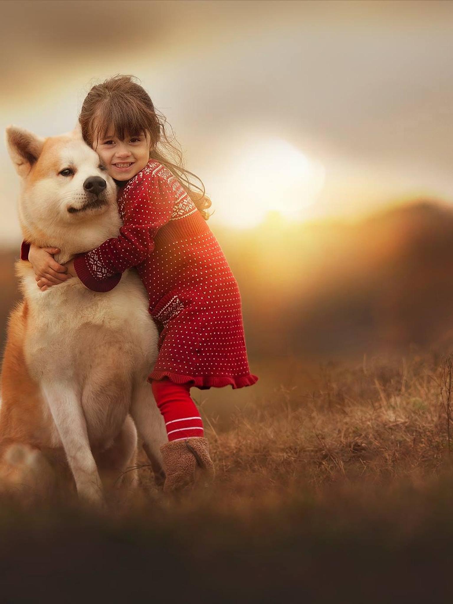 1536x2048 Akita (Little Girl, Sweet, Cute) Dog Wallpaper