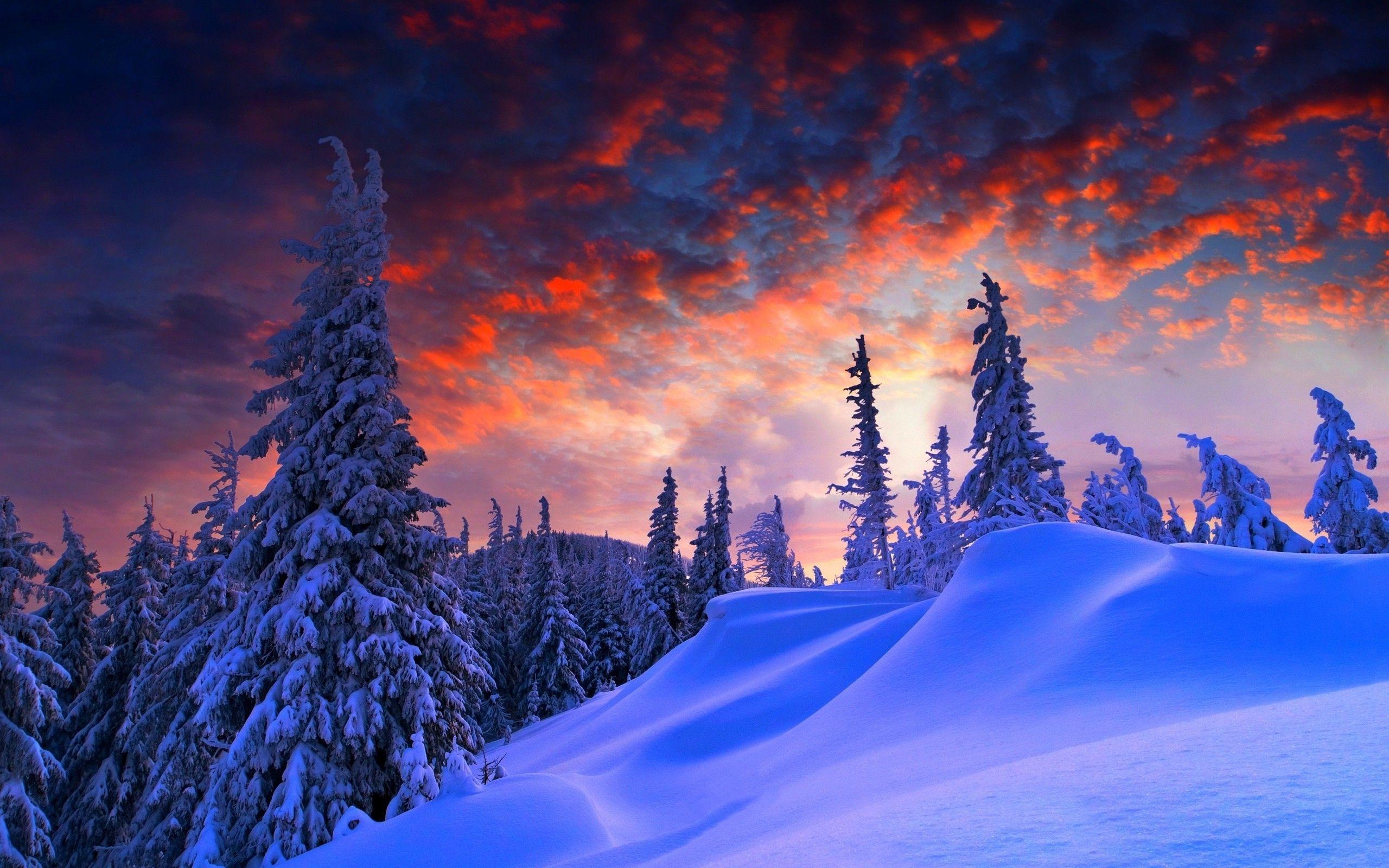 Snow Landscape Wallpapers - Top Free Snow Landscape Backgrounds
