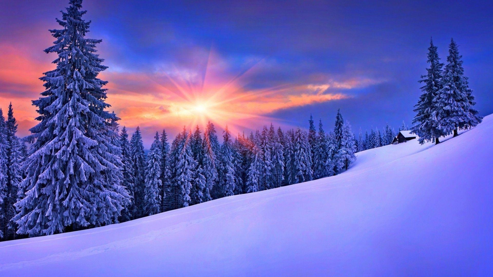 hver gang erklære Tilstedeværelse Winter Nature HD Desktop Wallpapers - Top Free Winter Nature HD Desktop  Backgrounds - WallpaperAccess
