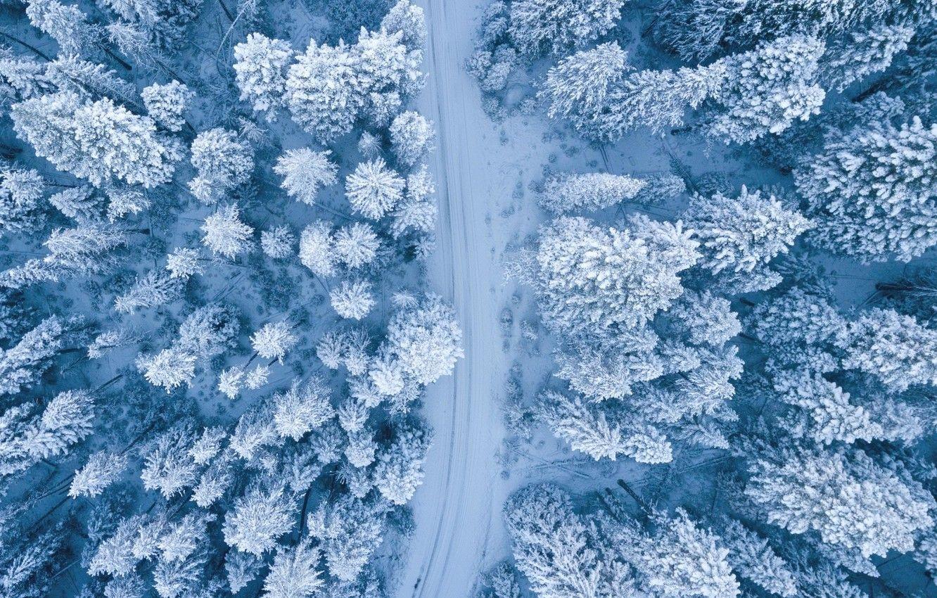 1332x850 Wallpaper Nature, Winter, Landscape, Snow, Trees image