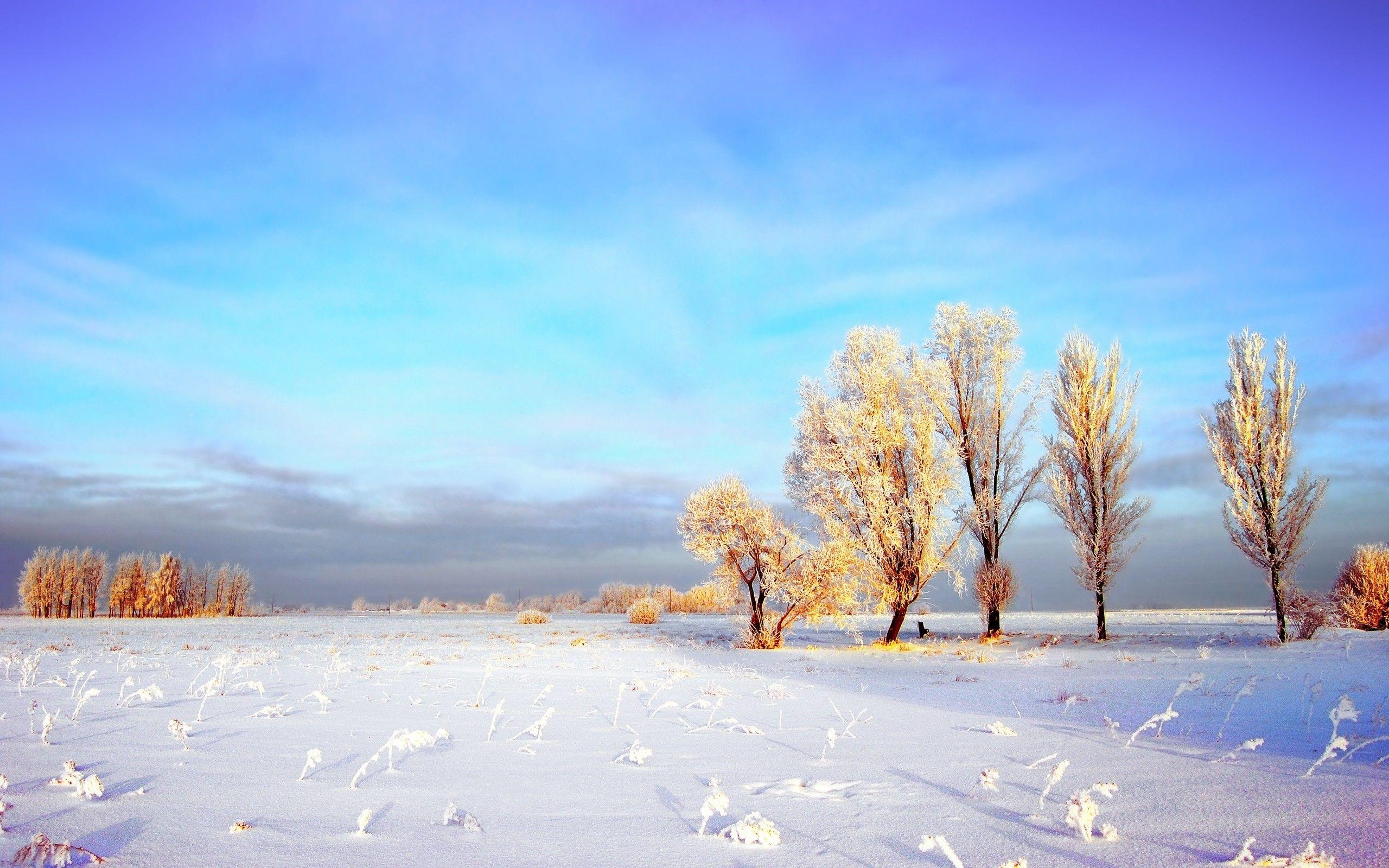 Snow Landscape Wallpapers - Top Free Snow Landscape Backgrounds ...