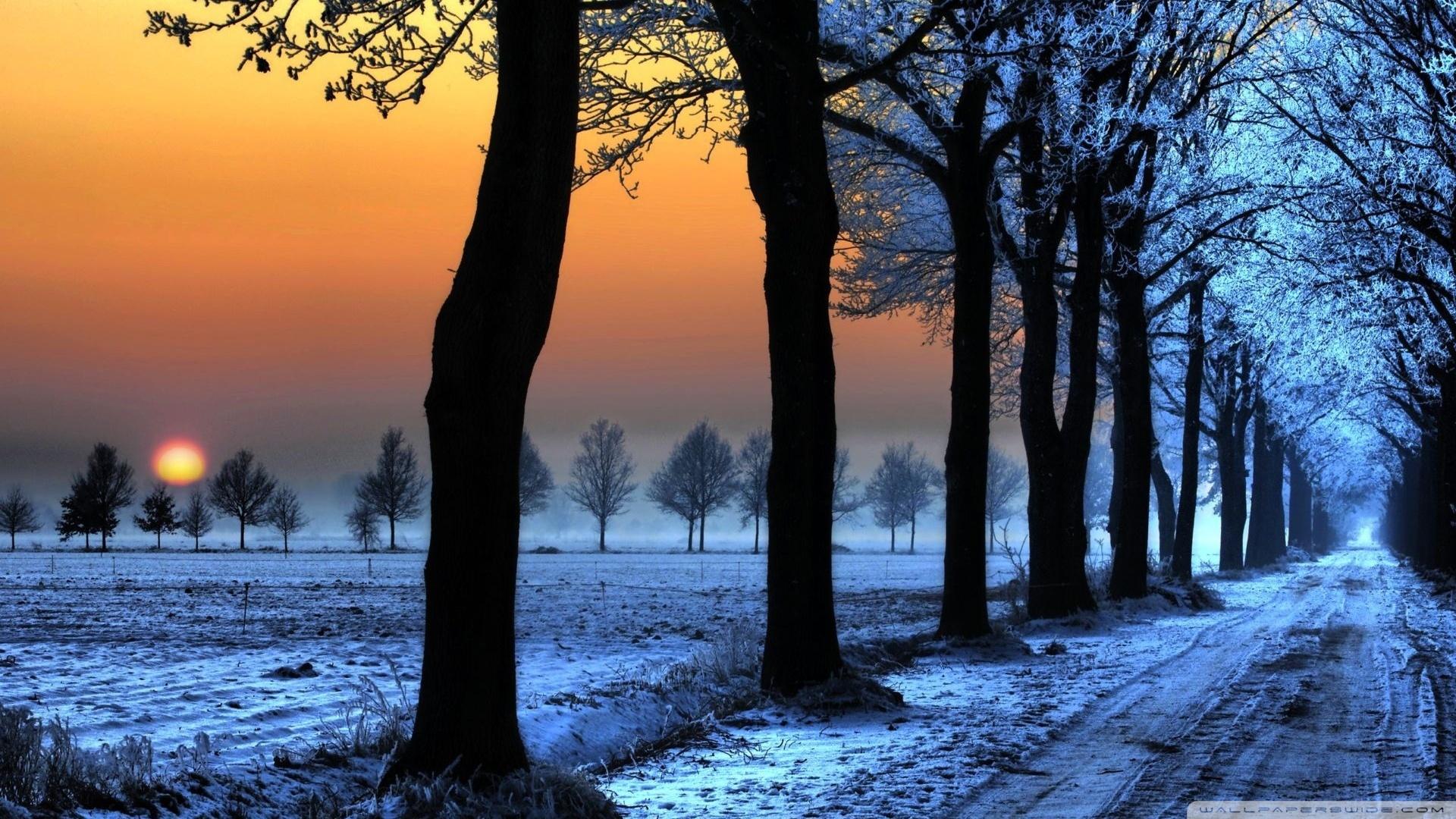 1920x1080 HD Winter Landscape Wallpaper