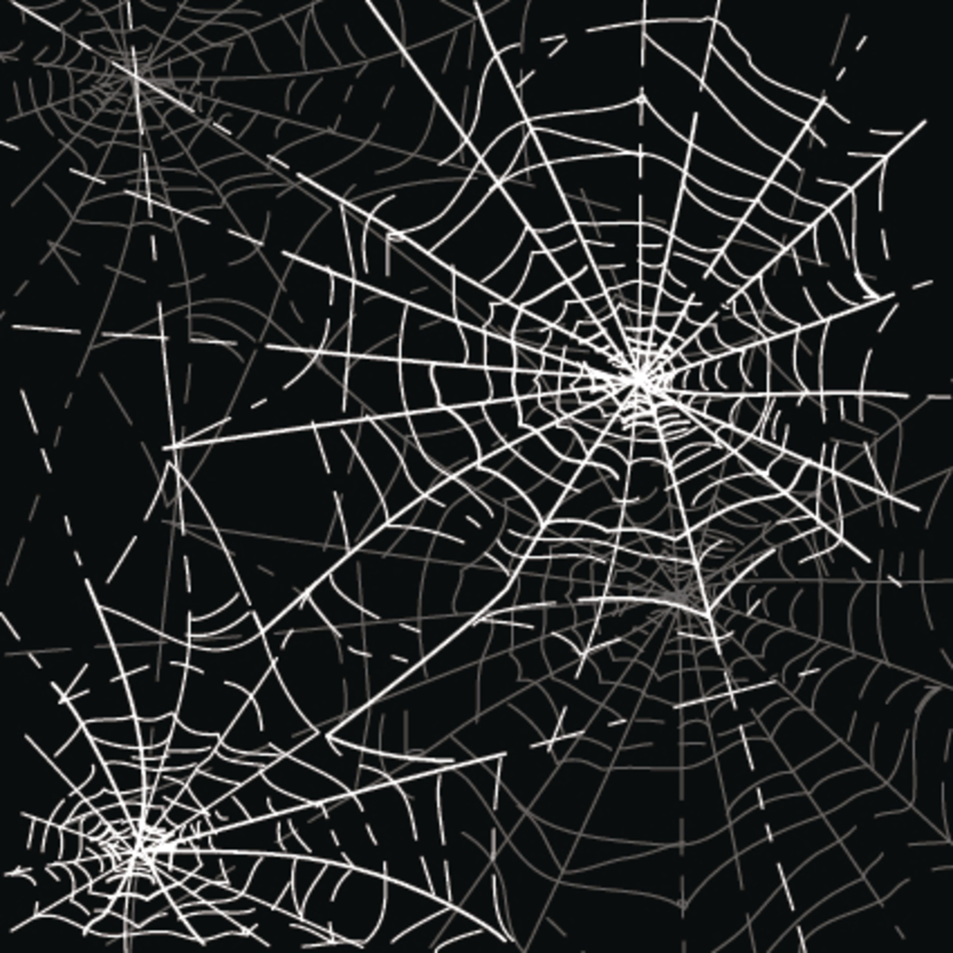 3200x3200 Halloween Spider Web Wall Mural