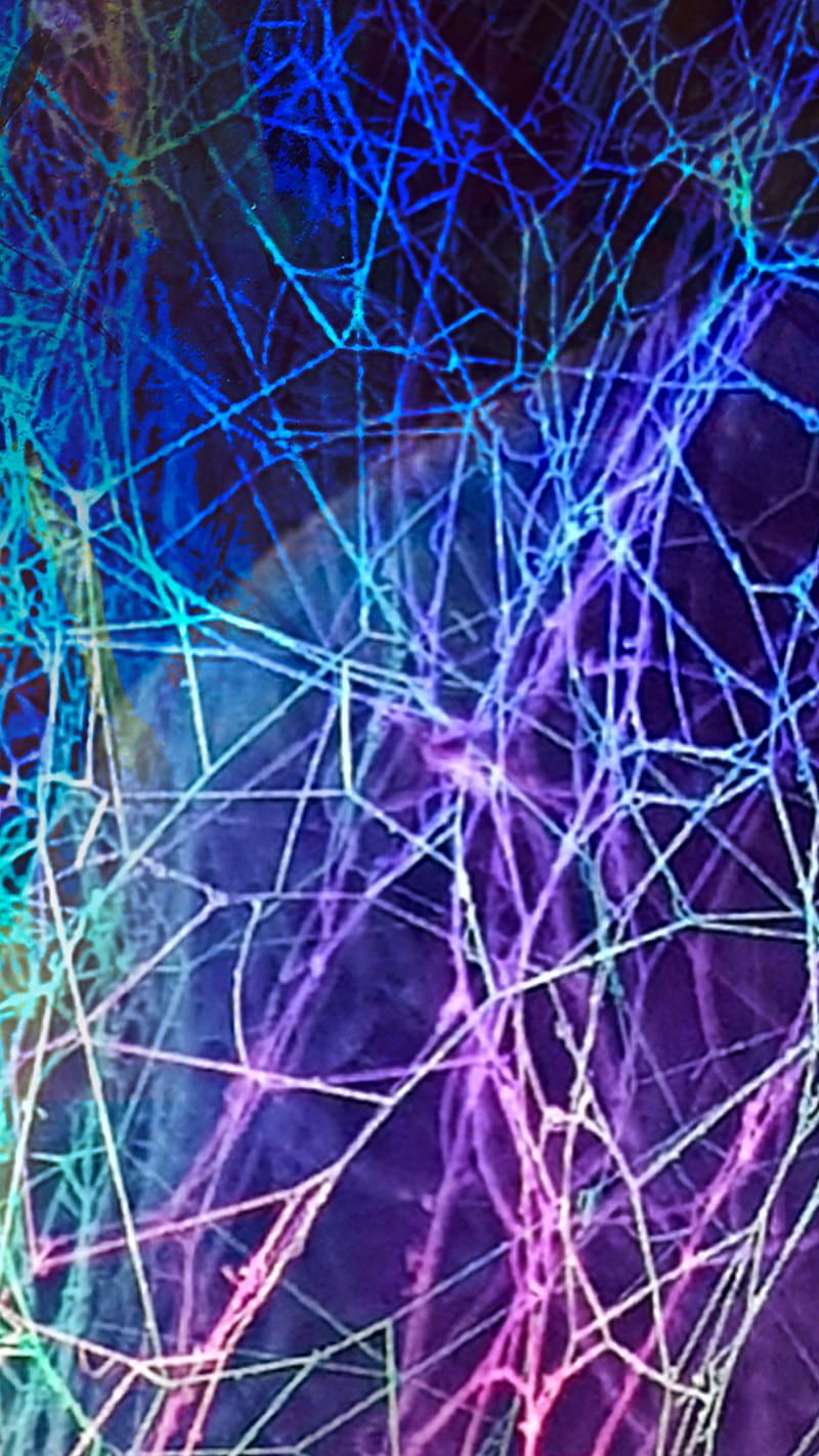 800x1422 Spider web close up, Samsung style, Windows, colors, digital art, gradient, modern, HD phone wallpaper