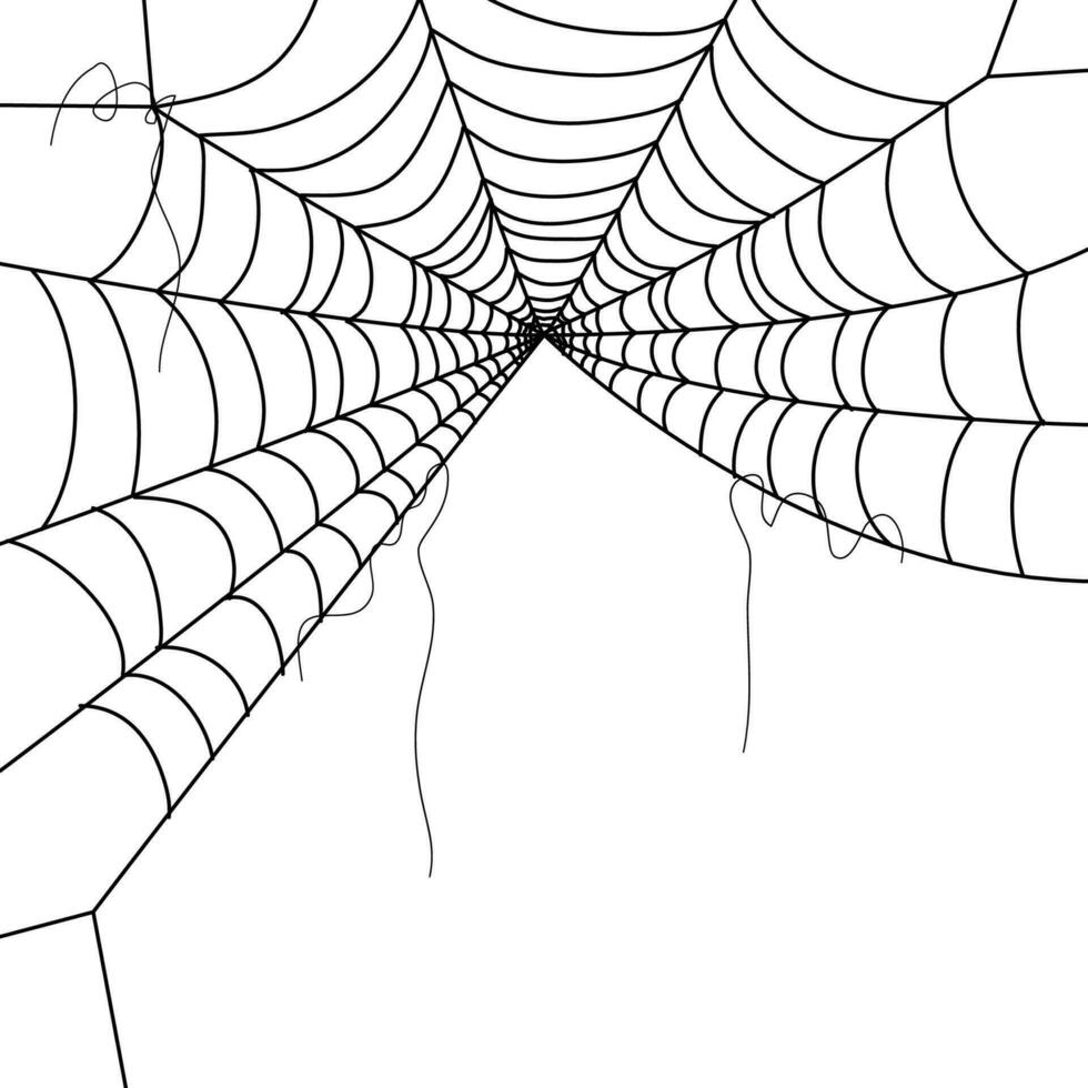 980x980 spider web wallpaper. cobweb background. illustration of a web. Vector Spider web on white. Spider web elements for decor. spiderweb