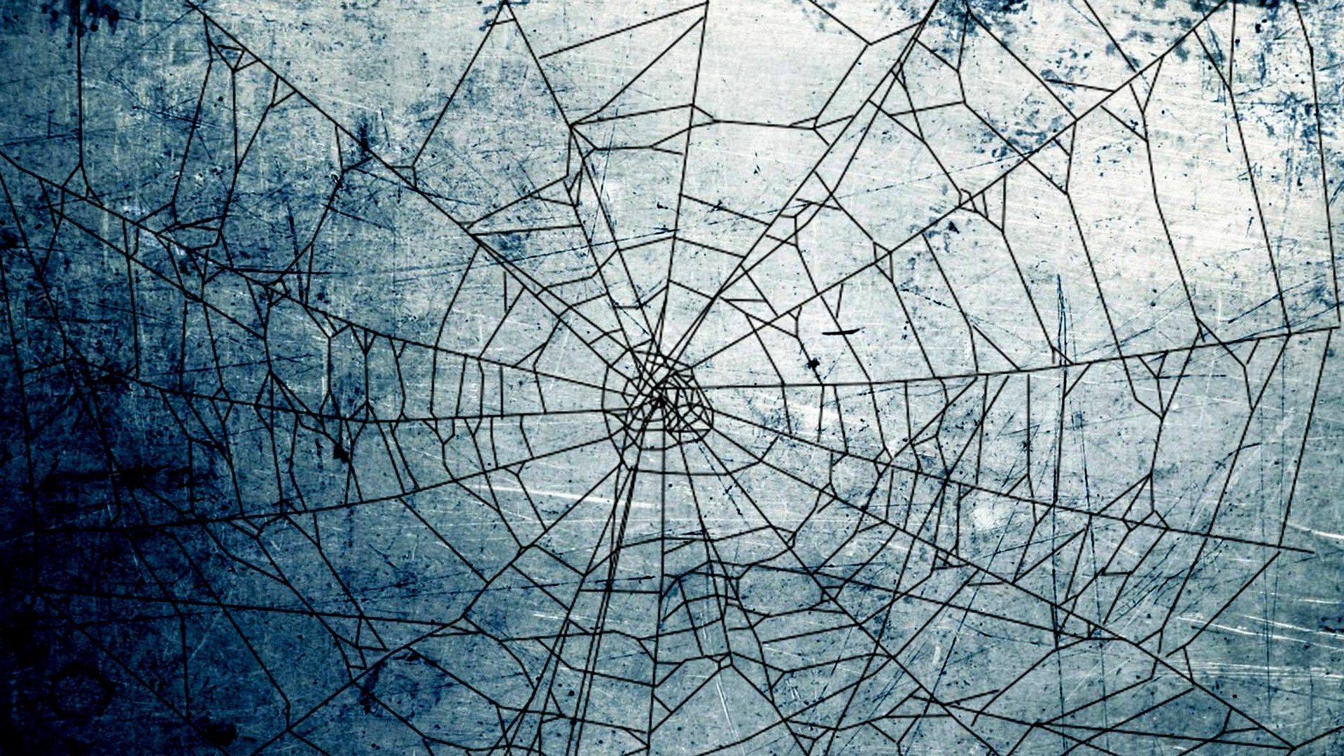 1920x1080 Cobweb Wallpaper