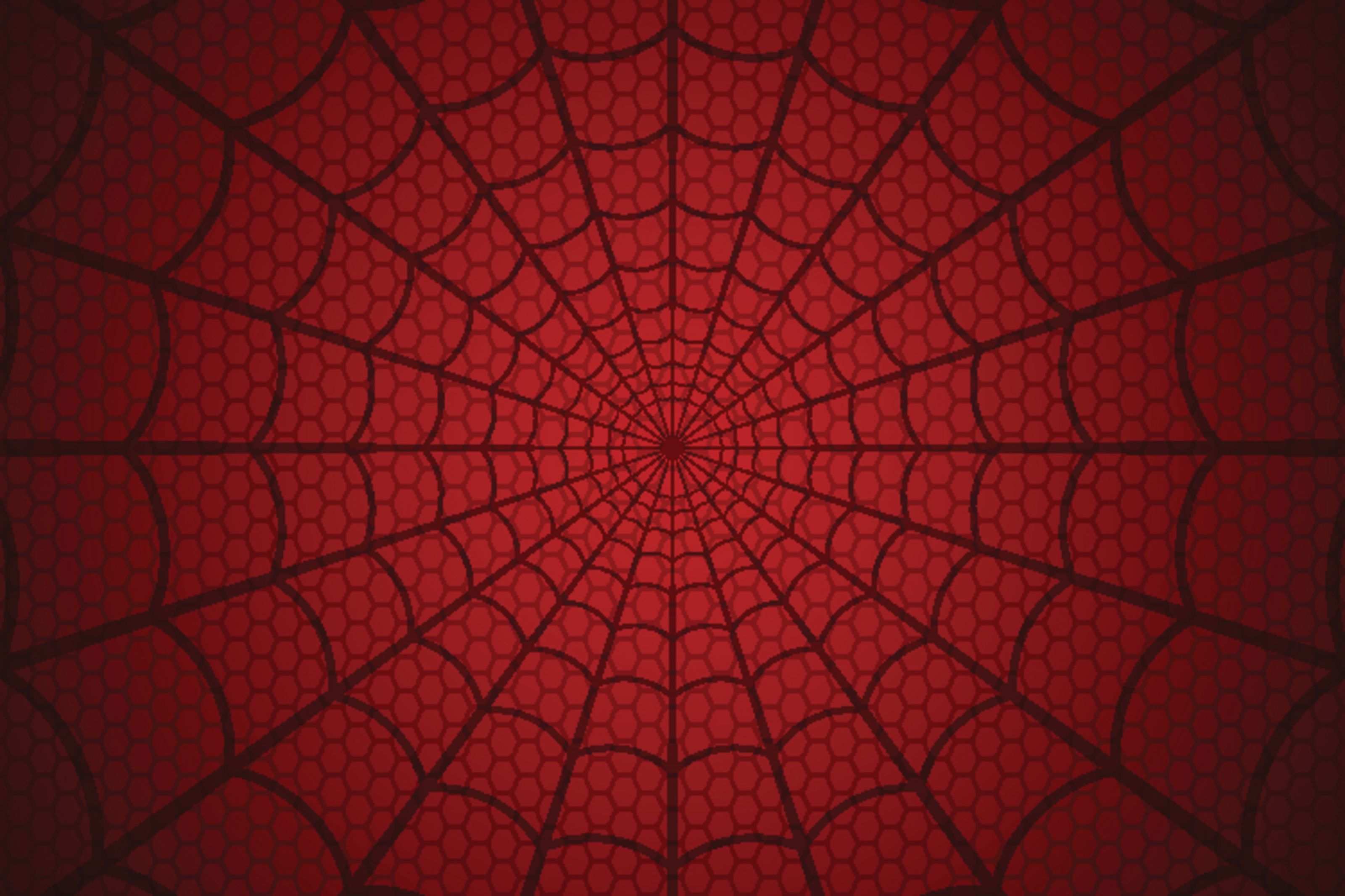 3200x2133 Black Spider Web Wall Mural