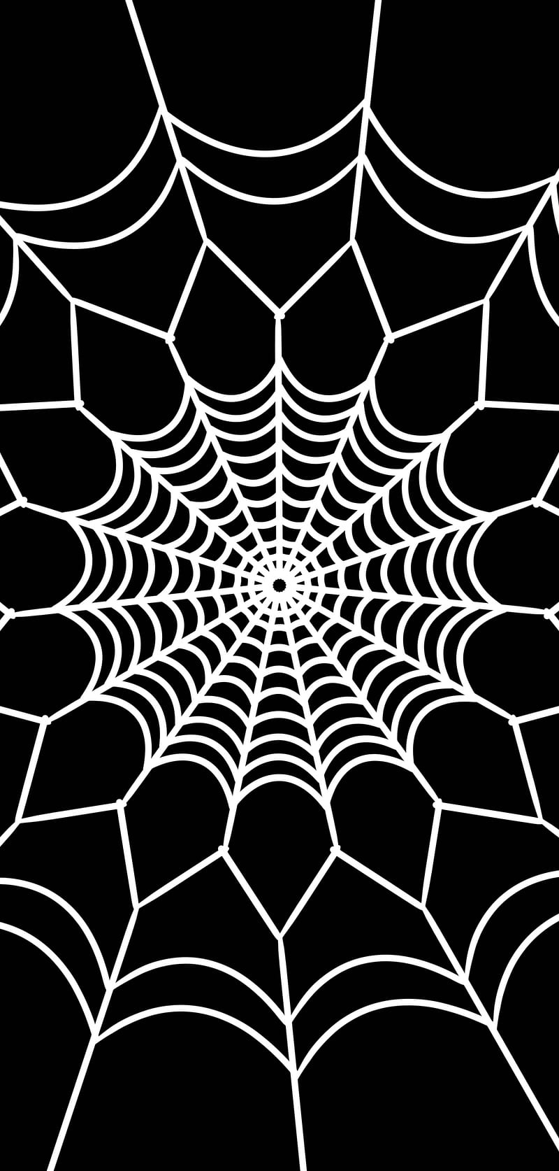 800x1674 Spider Web, allthethingsidoarecool, black and white, cool, i never know, idk, HD phone wallpaper