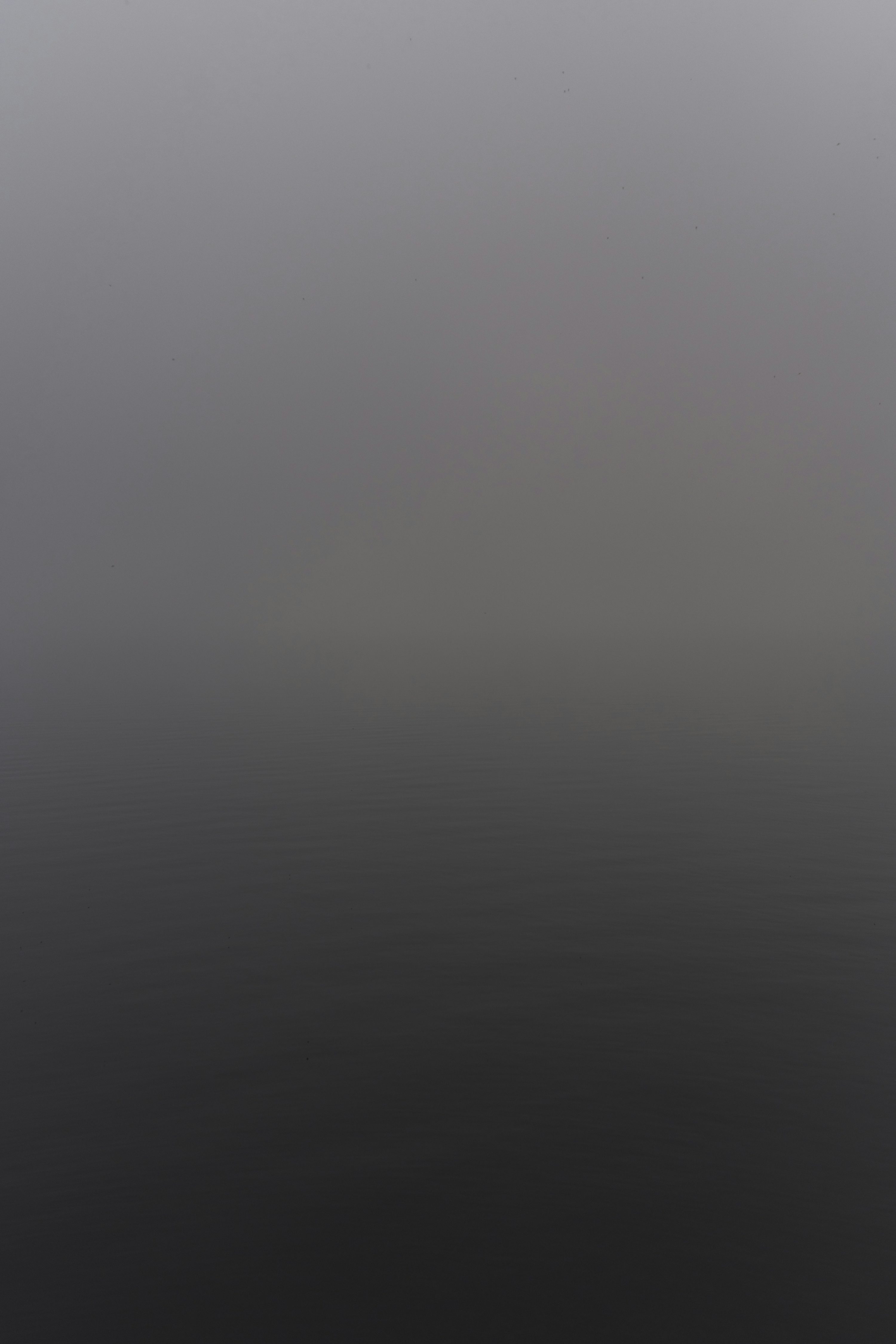 3000x4500 A gray gradient from light to dark. photo