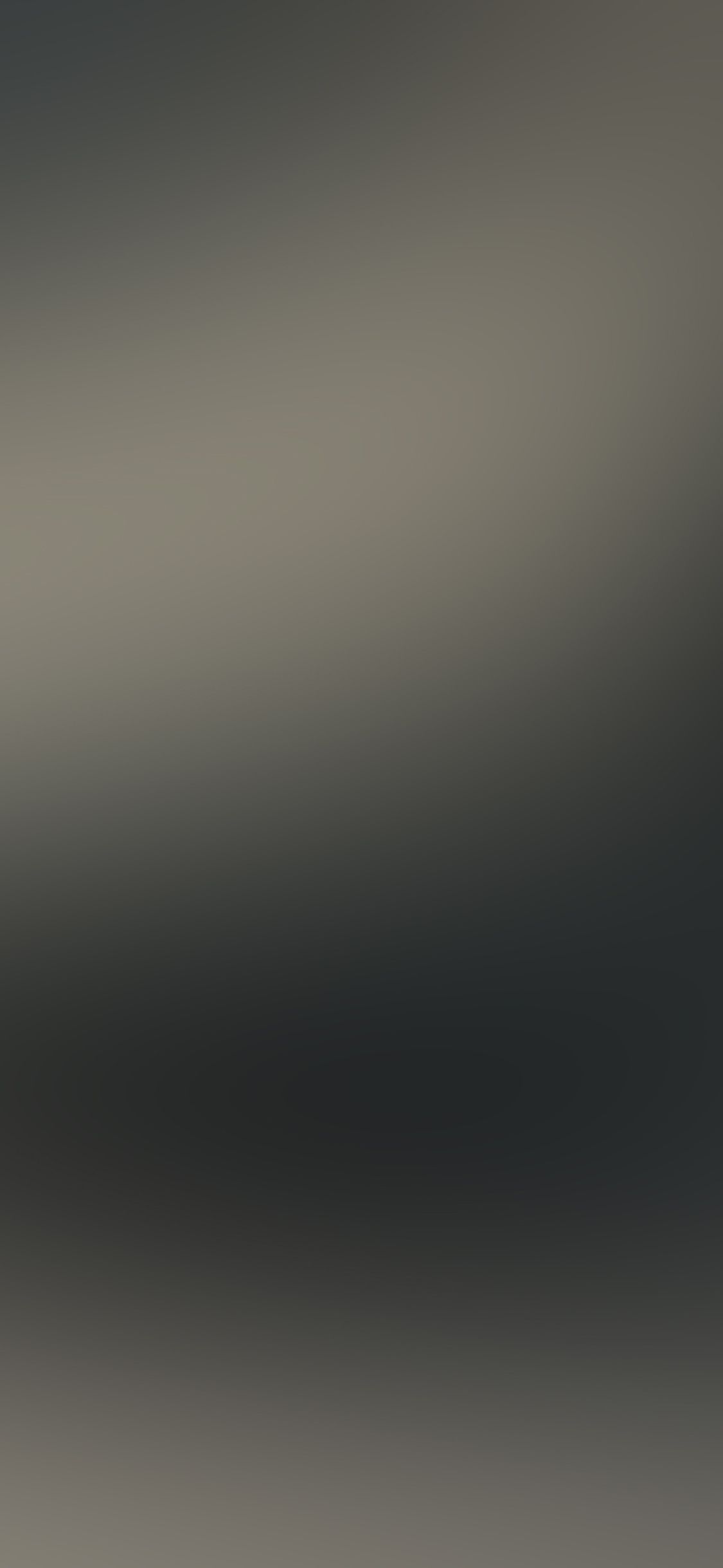 1125x2436 iPhone X wallpaper. gray dark gradation blur