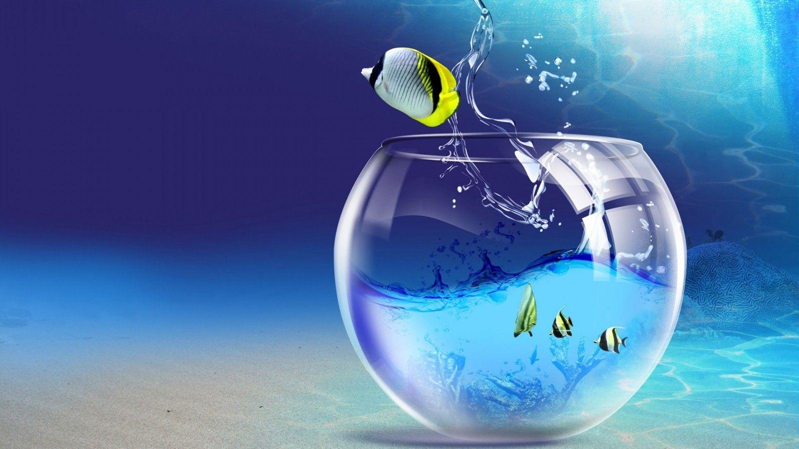 1600x900 Wallpaper Catalogue.com To The Aquarium In 1600x900