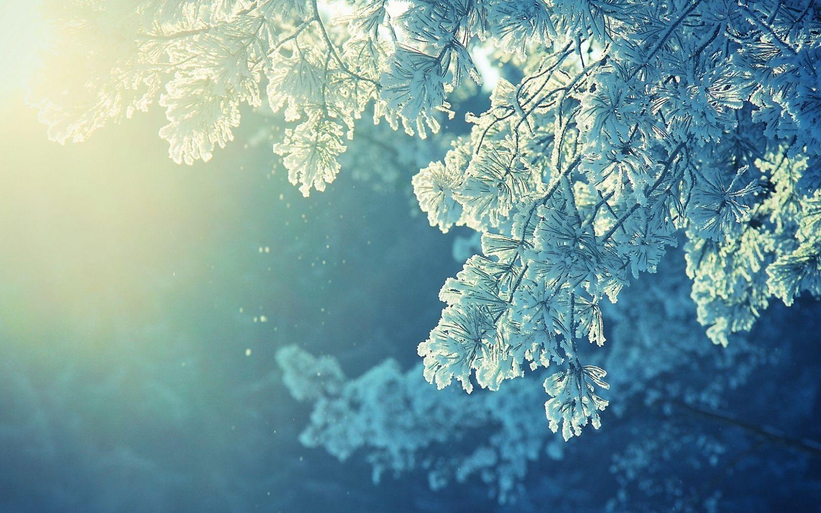 1680x1050 Free download anime Nature Snow Winter Cold Sunlight Peaceful