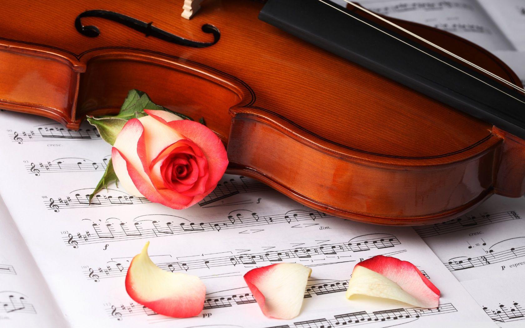 Piano and Violin Wallpapers - Top Free Piano and Violin Backgrounds ...