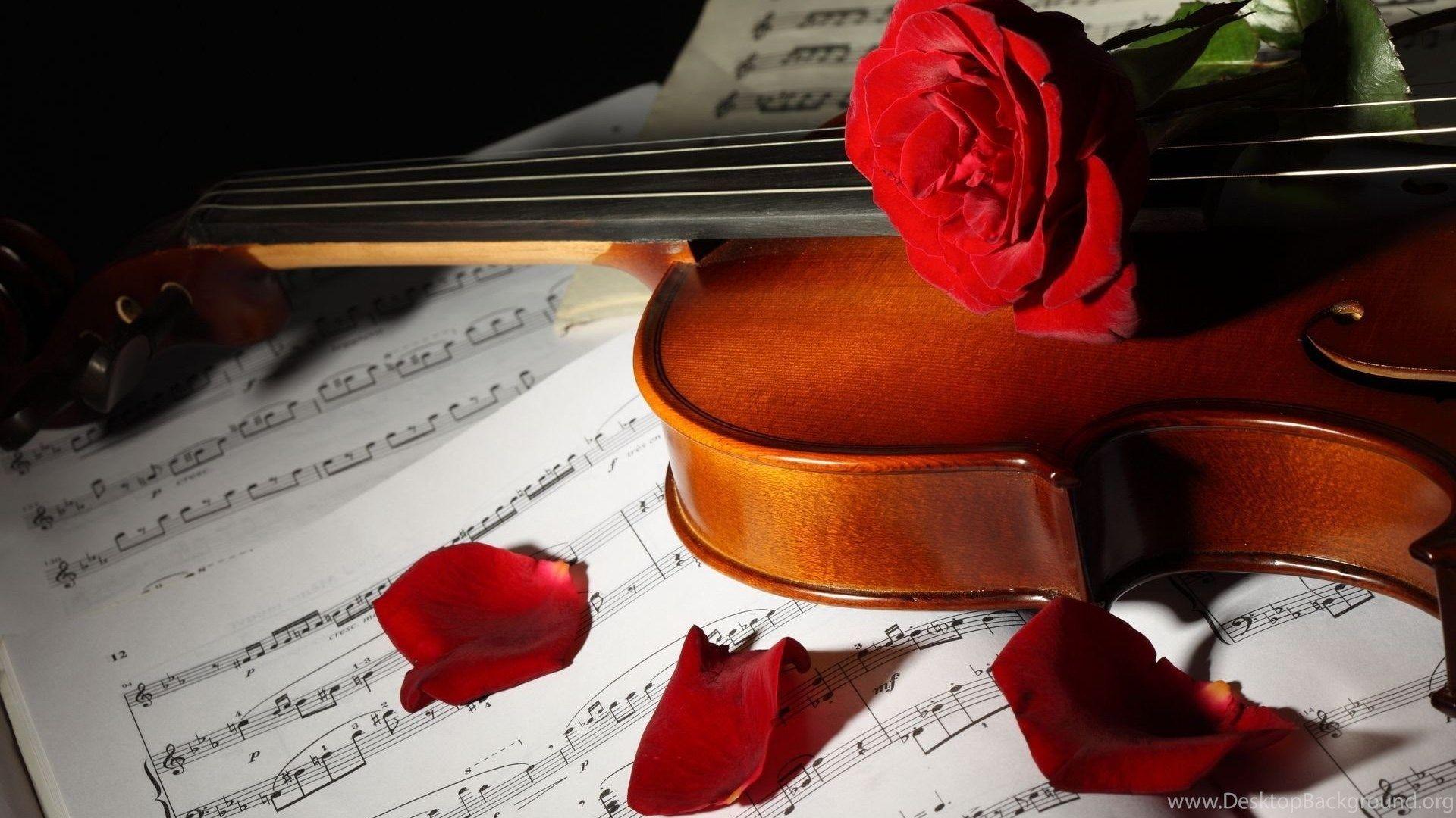 Violin Roses Wallpapers - Top Free Violin Roses Backgrounds ...