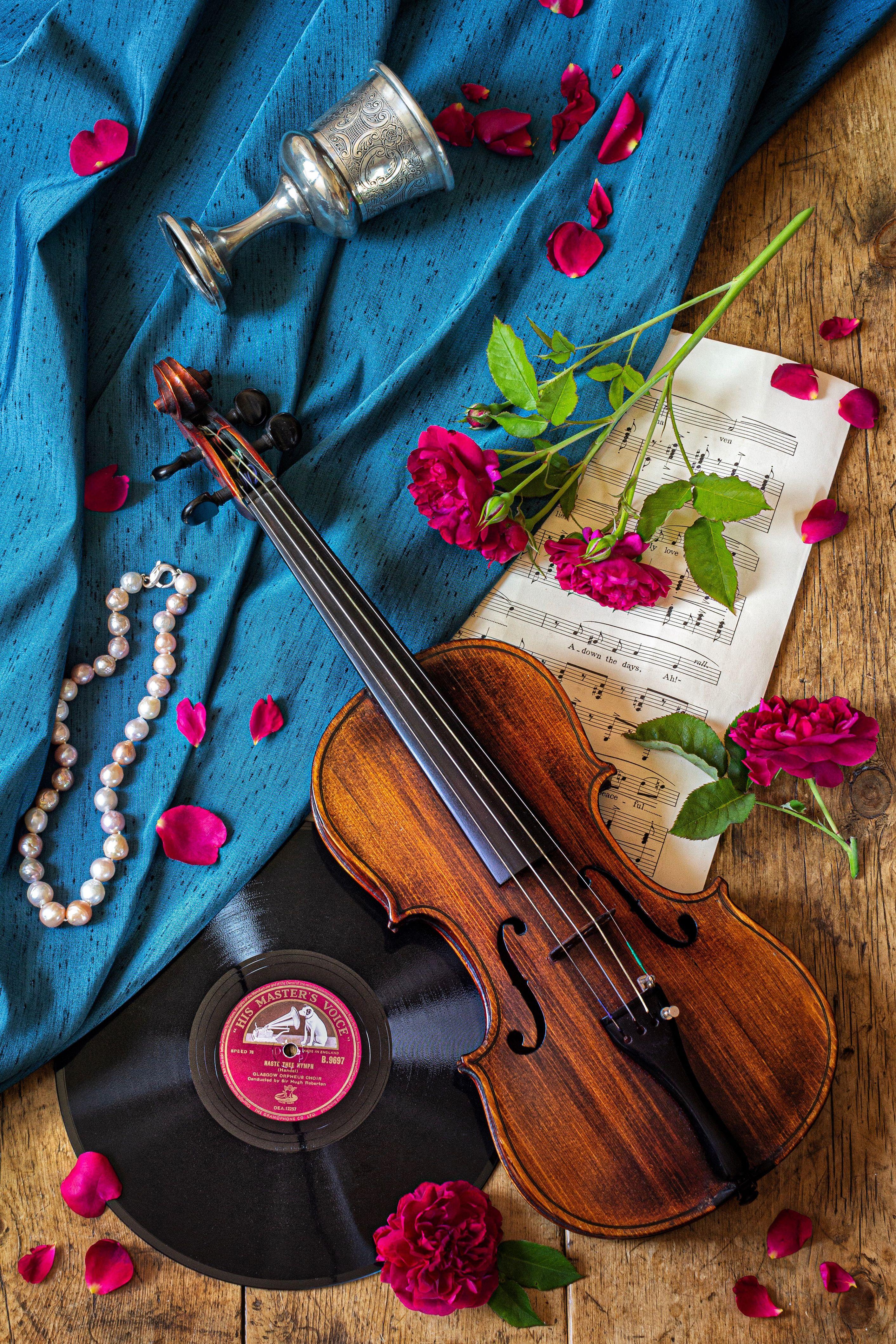 Violin Roses Wallpapers - Top Free Violin Roses ...