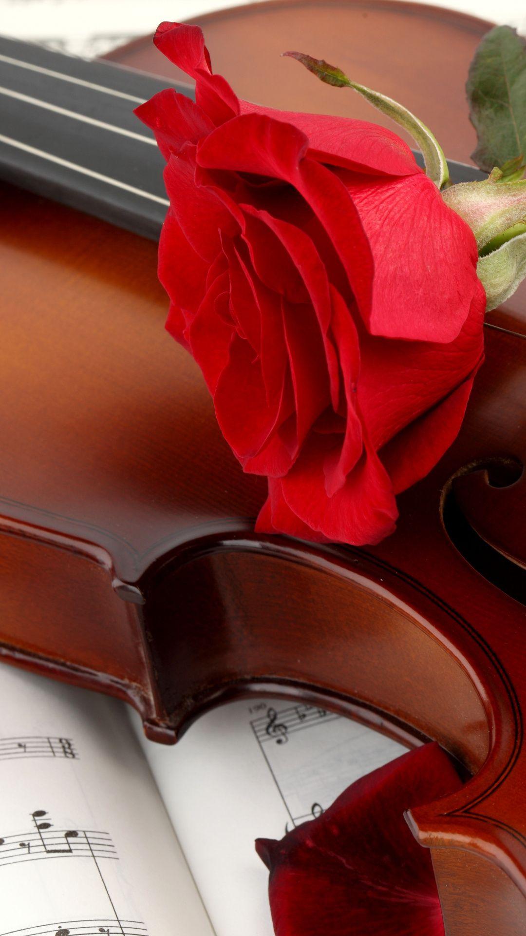 Violin Roses Wallpapers - Top Free Violin Roses Backgrounds ...