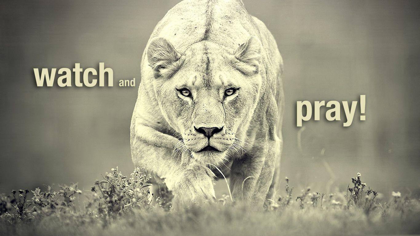 1366x768 Pay Attention!