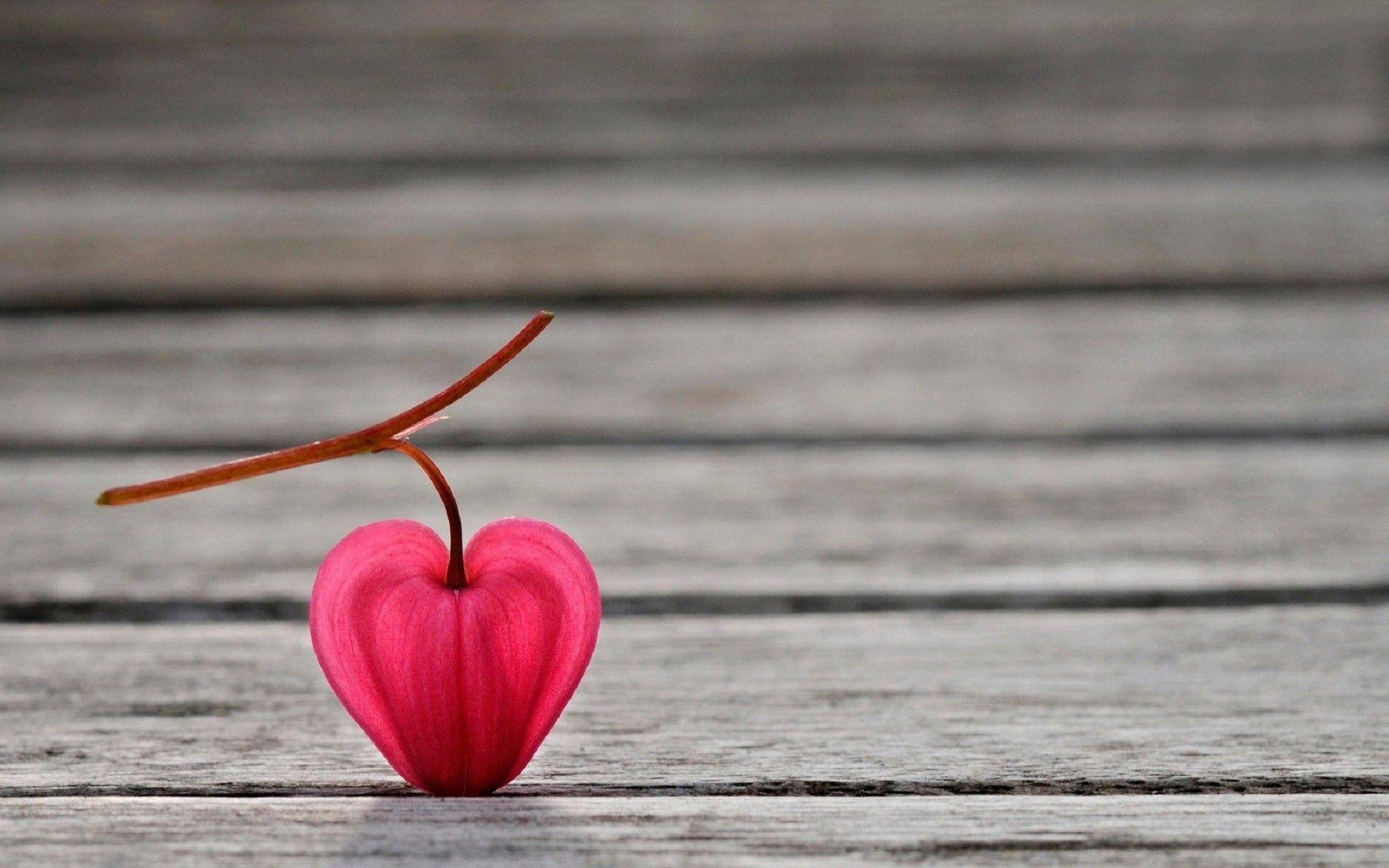 1920x1200 Love Fruits For You Best Wallpaper HD Free Amazing Cool Tablet
