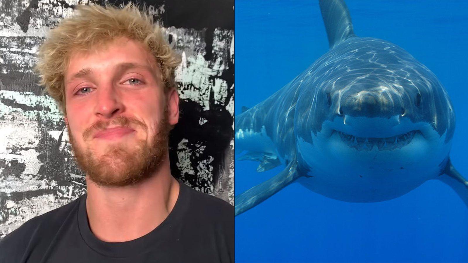 1600x900 Logan Paul “reveals” himself as the face behind viral Instagram