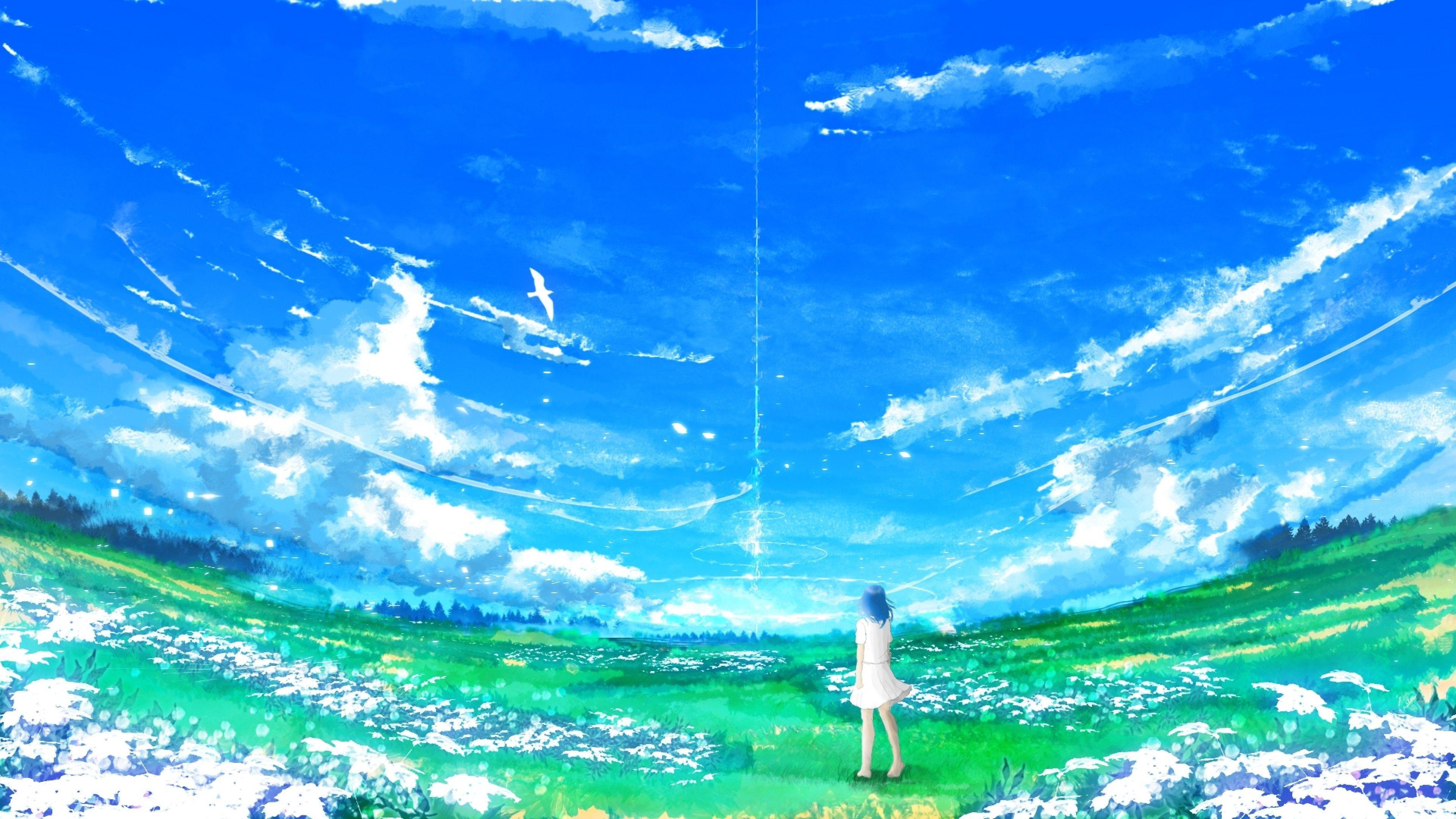 Anime Scenery Field 4k, HD Anime, 4k Wallpapers, Images, Backgrounds,  Photos and Pictures
