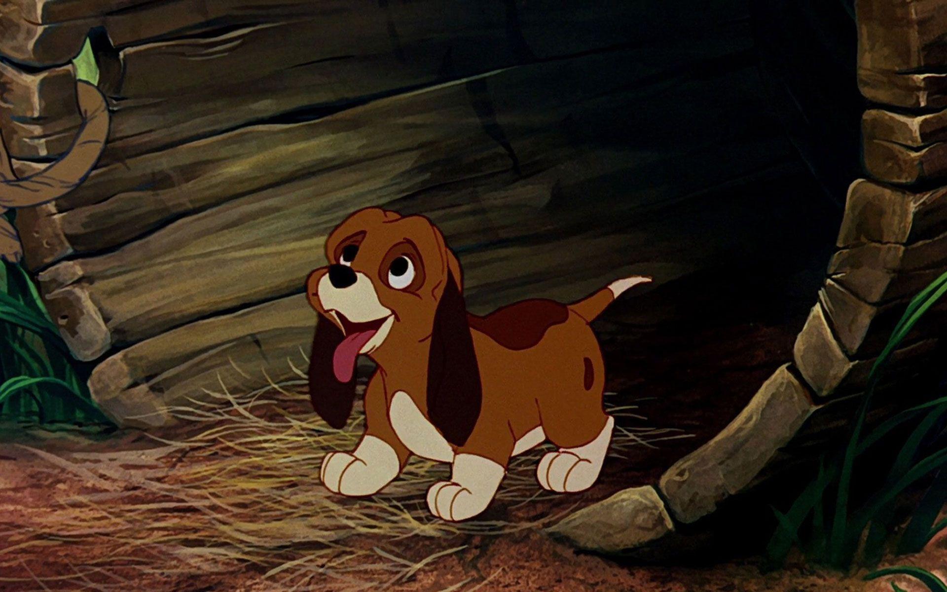1920x1200 Cartoon The Fox And The Hound Wallpaper. The fox and the hound
