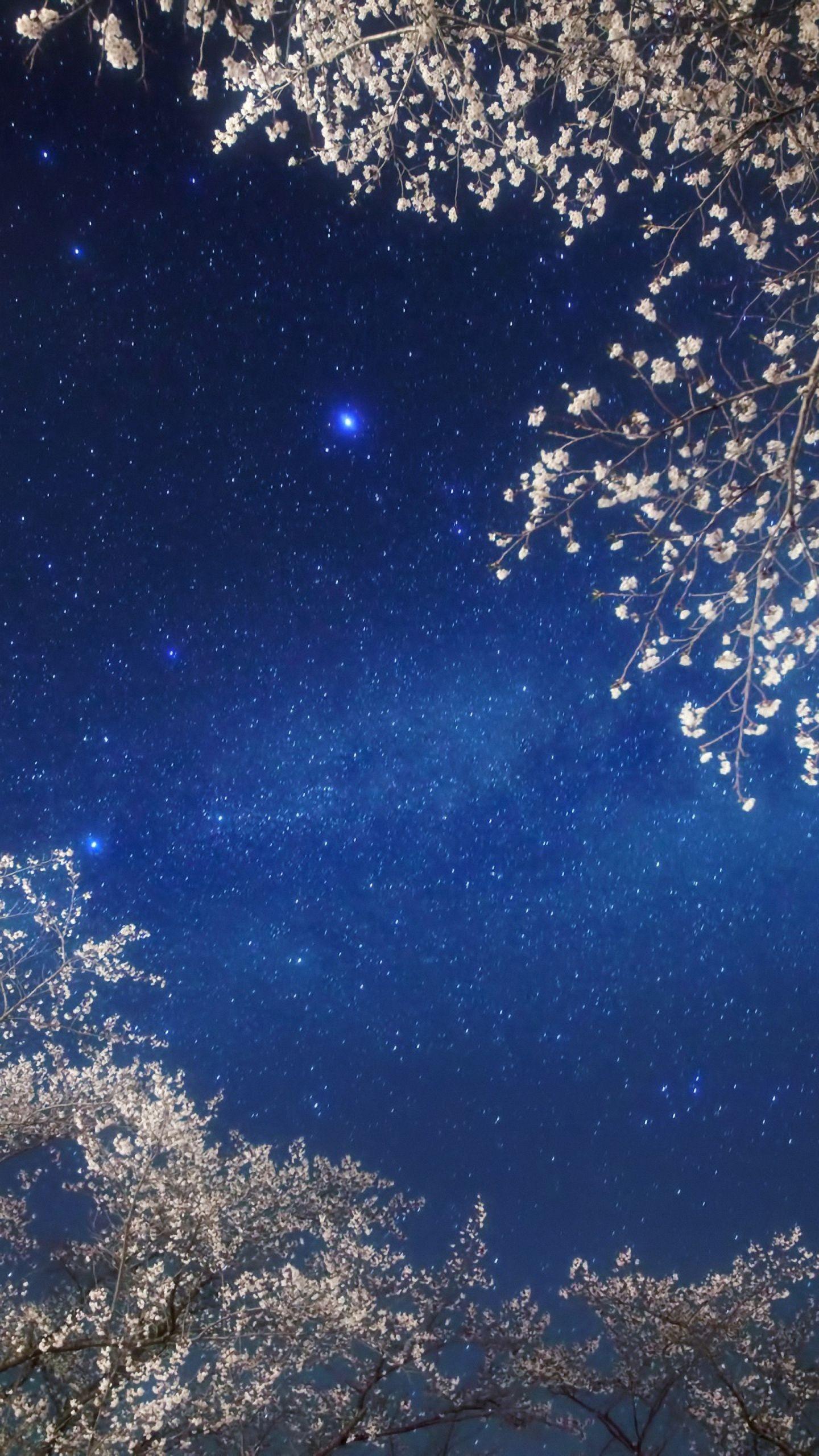 1440x2560 Hd Light Night Sky Star Samsung Galaxy S6 S7 Wallpaper