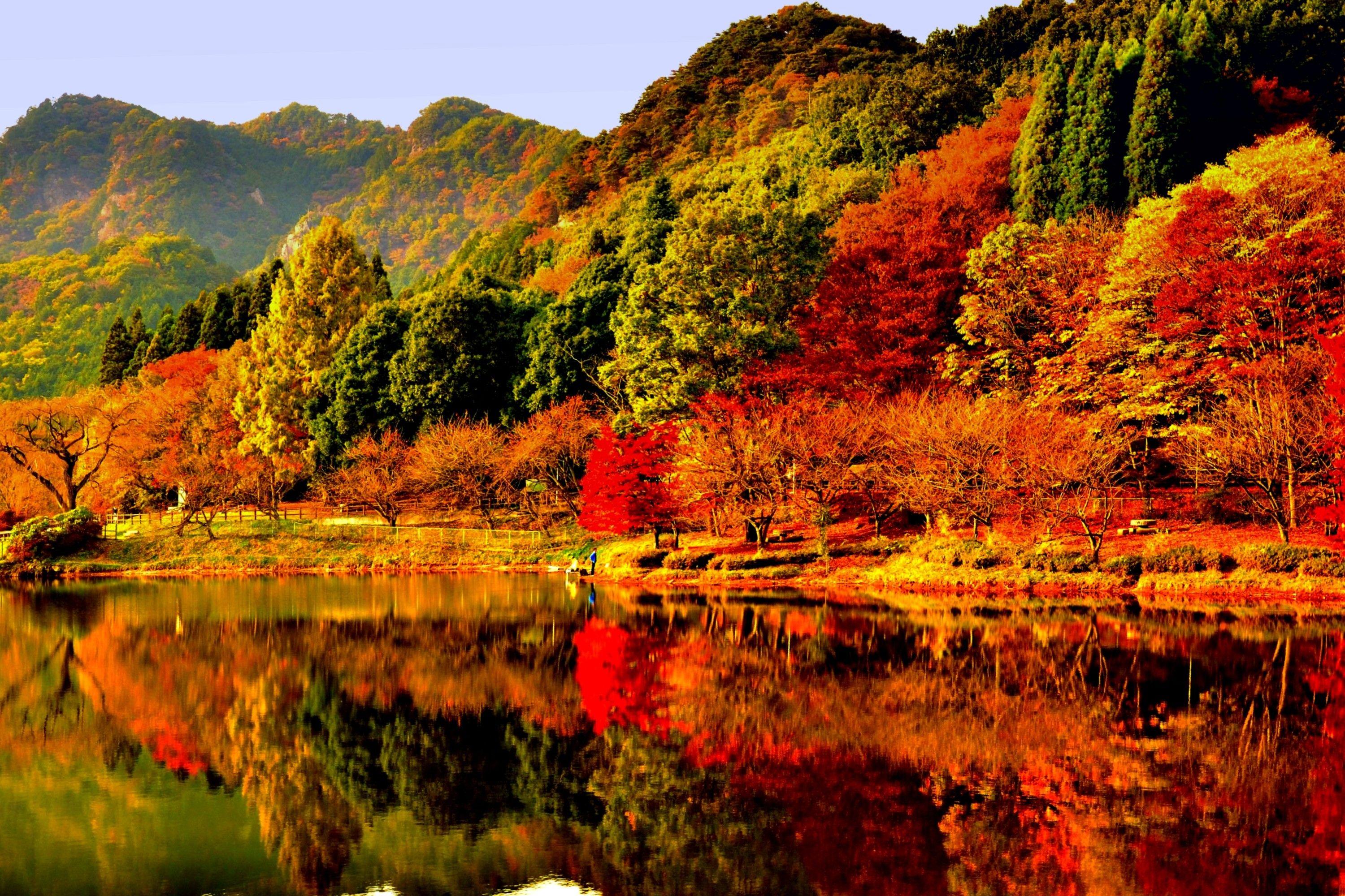 3000x2000 Lakes: AUTUMN REFLECTION Forest Lake Wallpaper Tahoe for HD 16:9