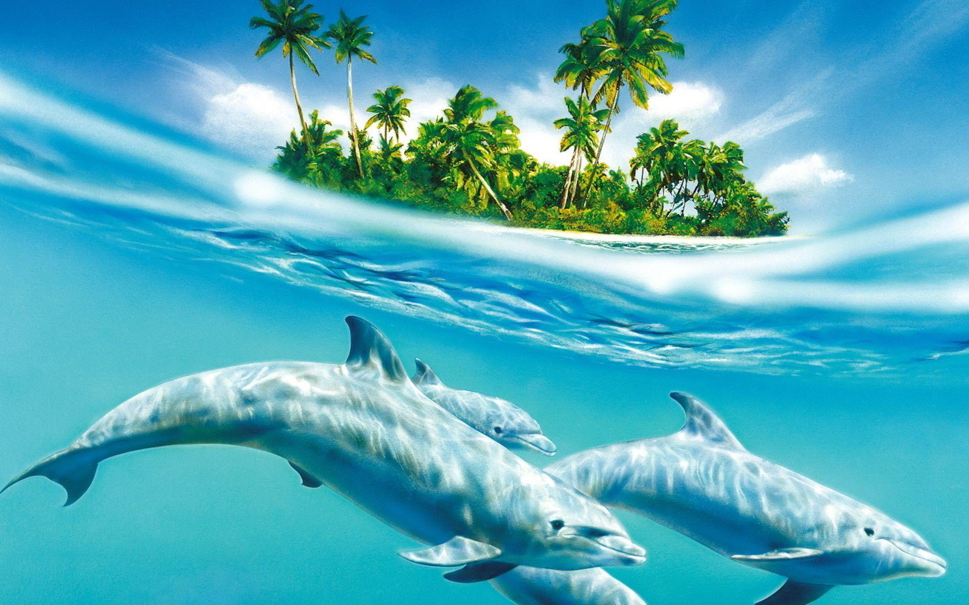 1920x1200 Desktop Wallpaper Free Ocean