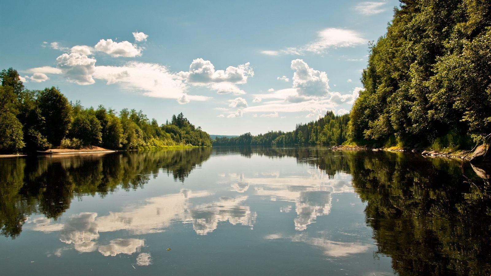 1600x900 1k Forest Lake 4 Background. HD Wallpaper 5k
