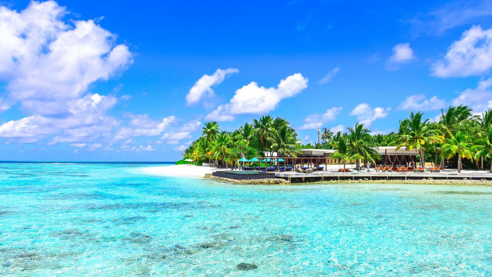 1600x900 Download wallpaper 1600x900 palms, ocean, beach, vacation