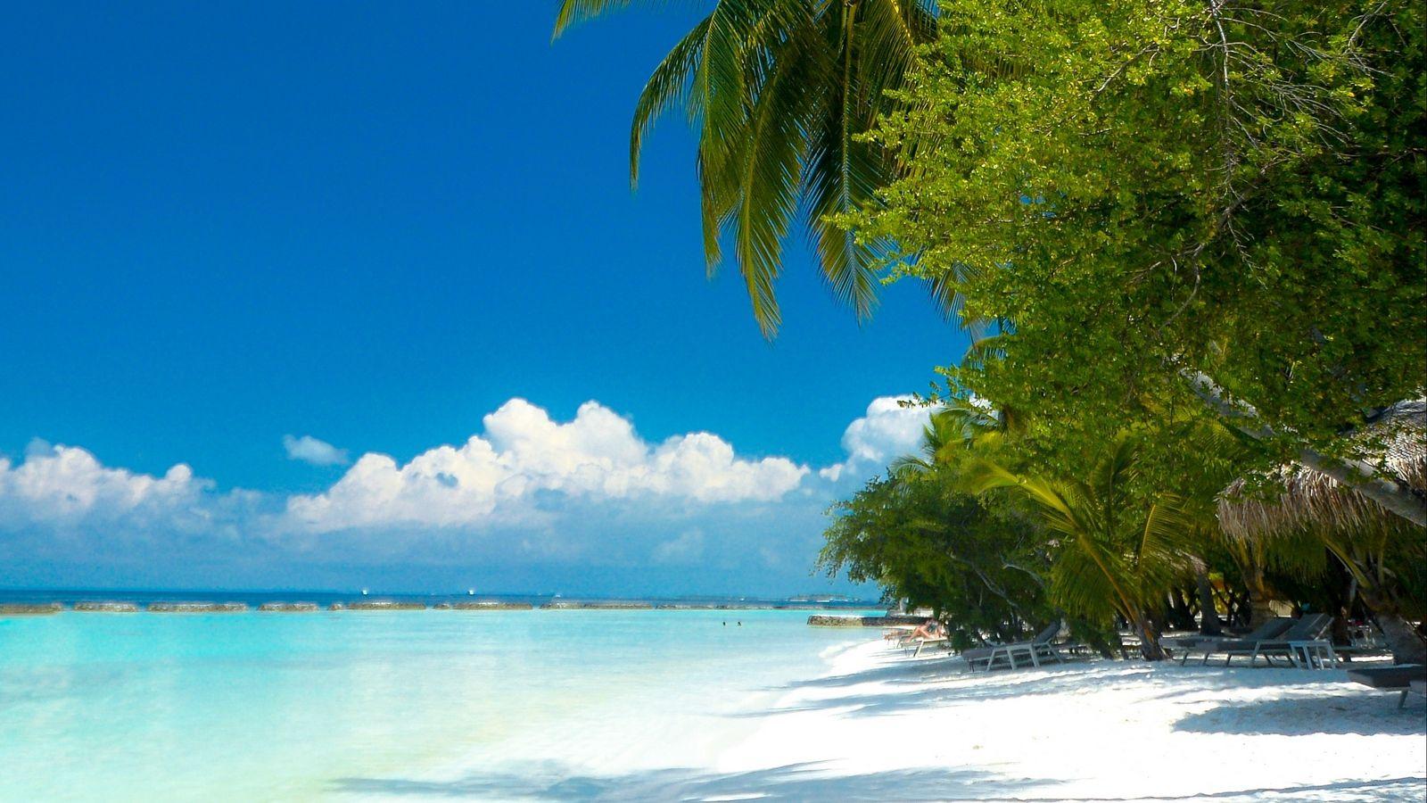 1600x900 Download wallpaper 1600x900 palm trees, beach, ocean, tropics