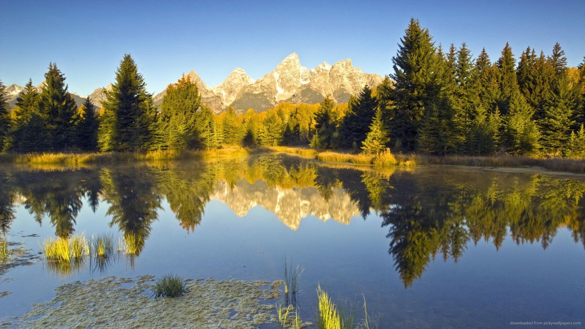 1920x1080 Forest Lake. Landscapes. Lakes, Wallpaper downloads